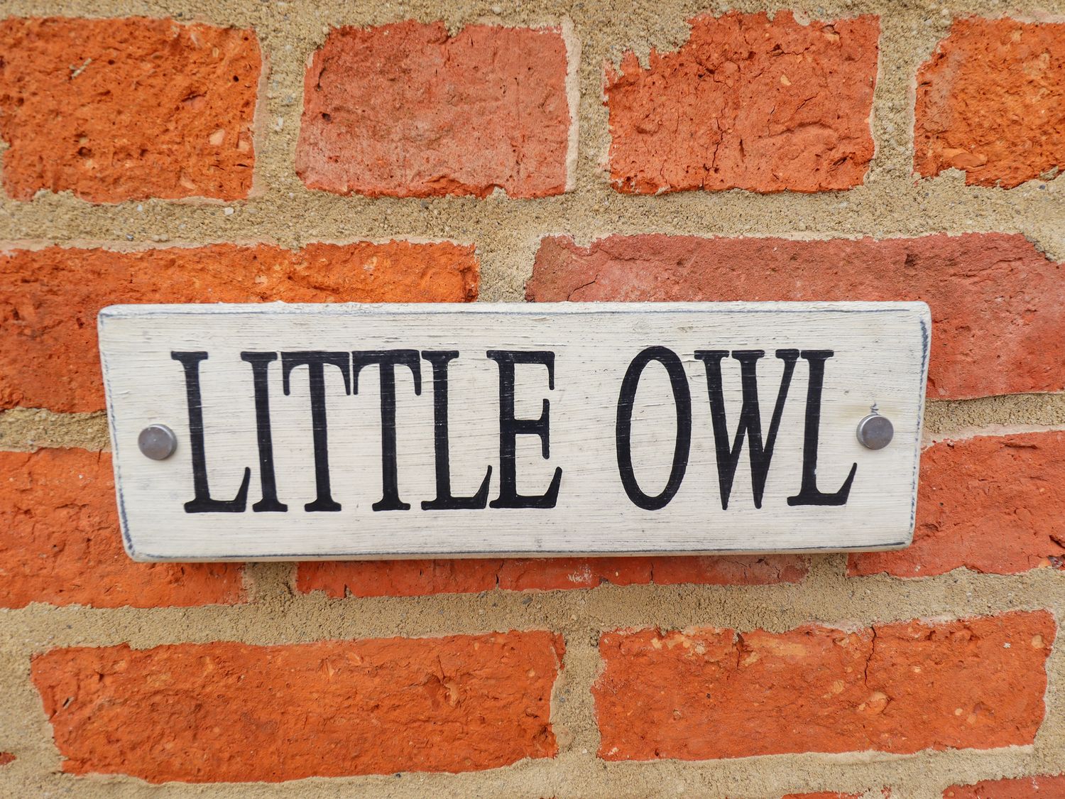 Little Owl, Lincolnshire