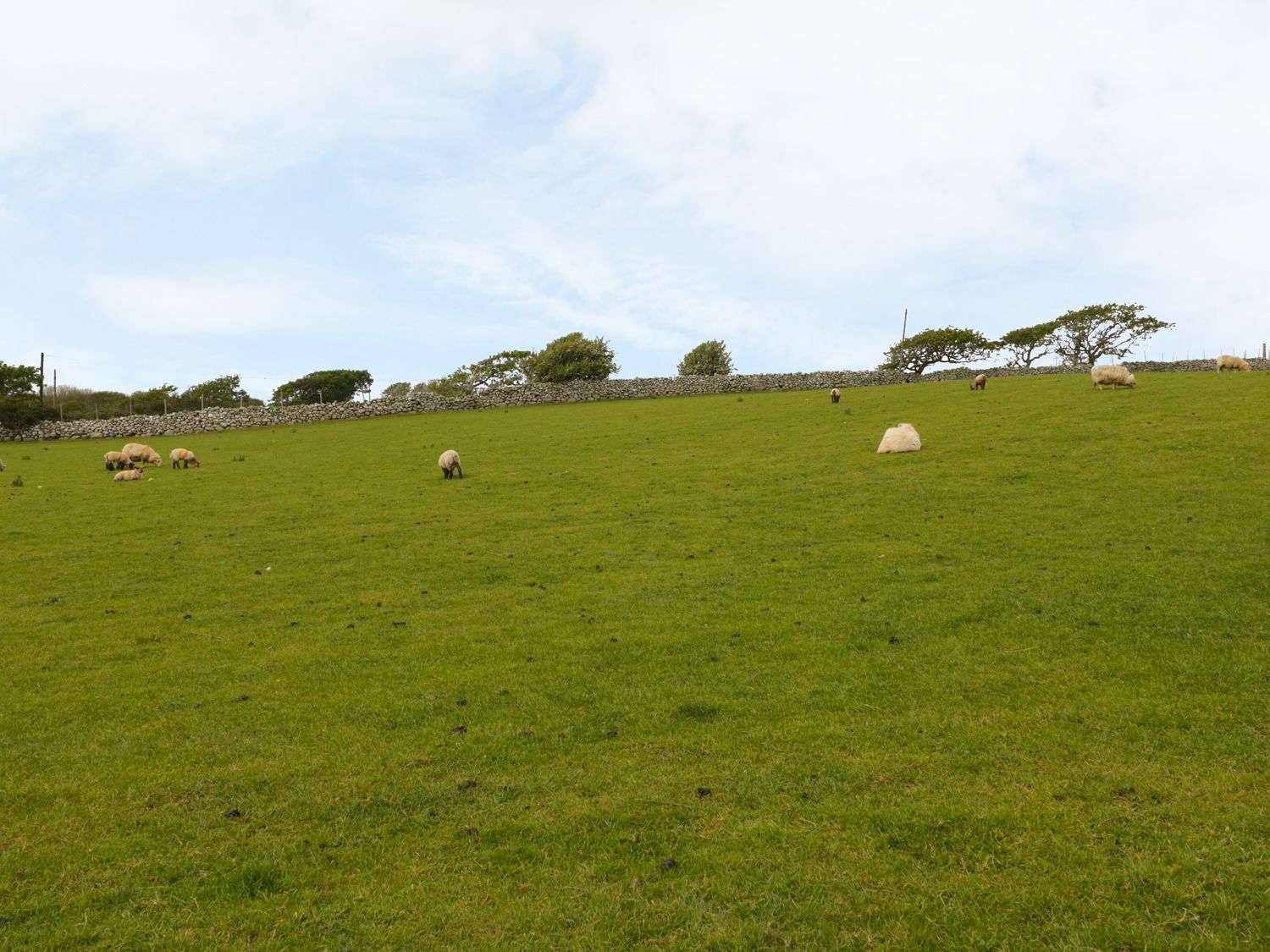 Bryn Y Bwyd, North Wales