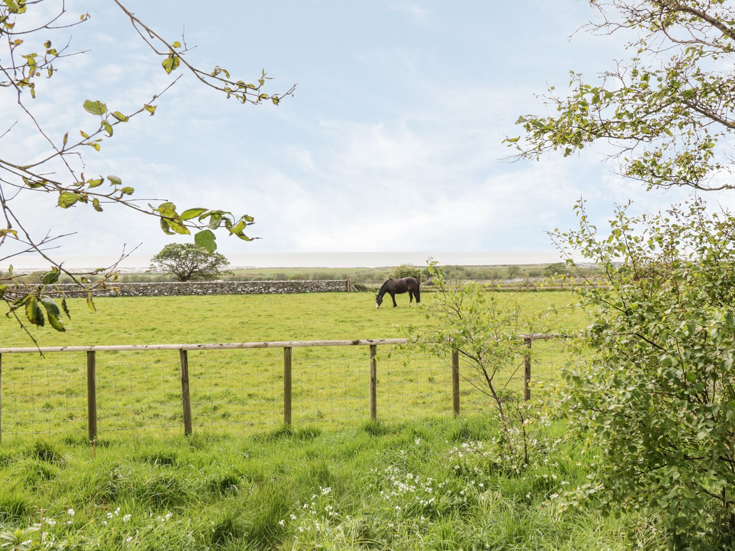 Bryn Y Bwyd, North Wales