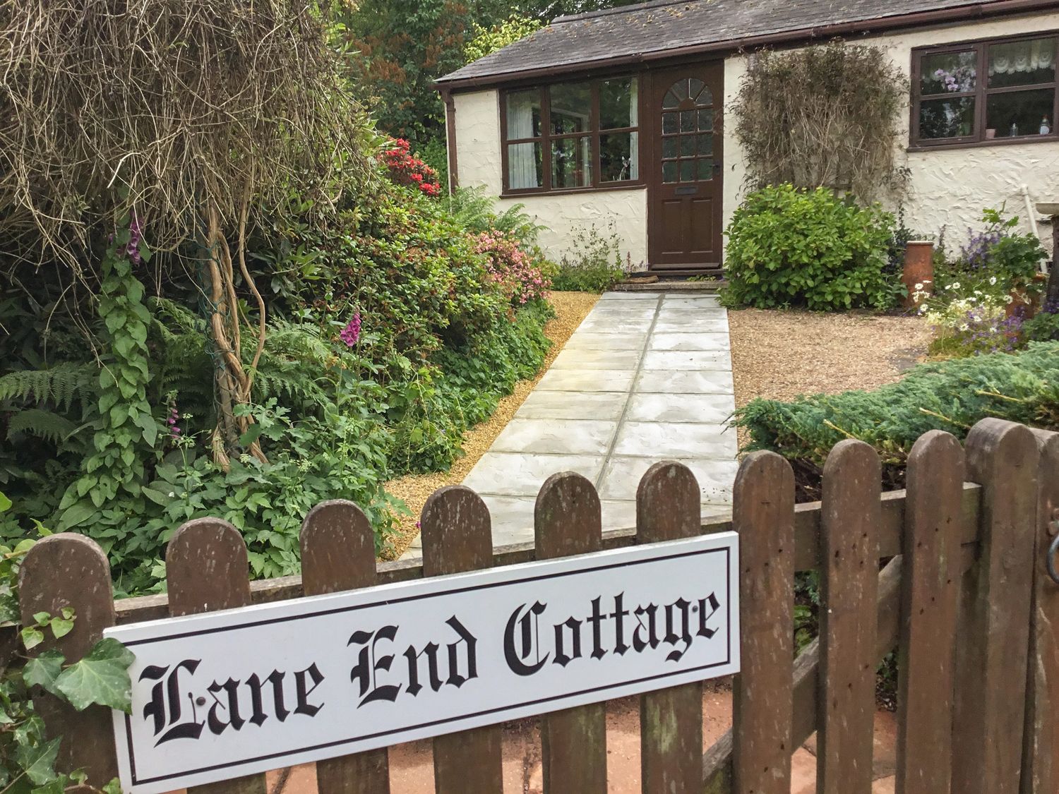 Lane End Cottage - Devon - 974621 - photo 1