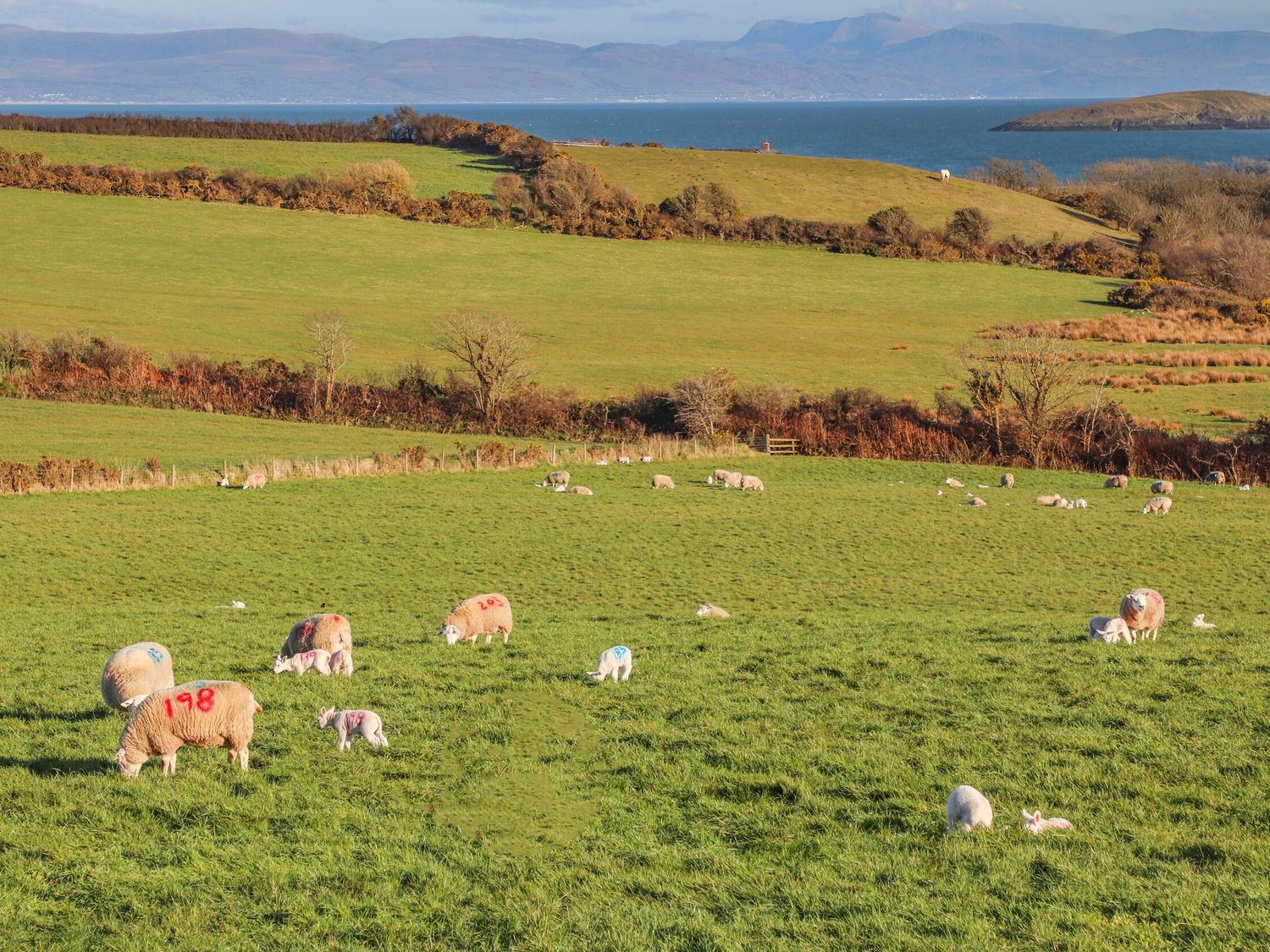 Bryn Ffynnon, Aberdaron