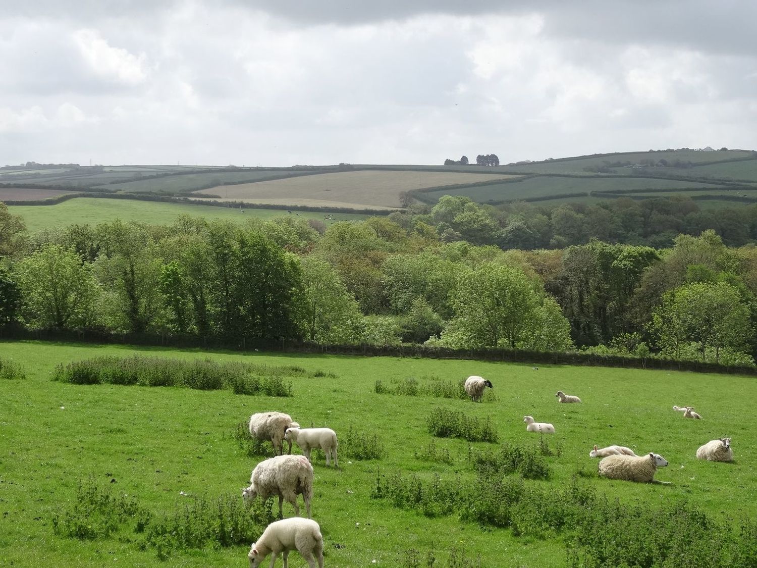 Swallow Barn, Cornwall