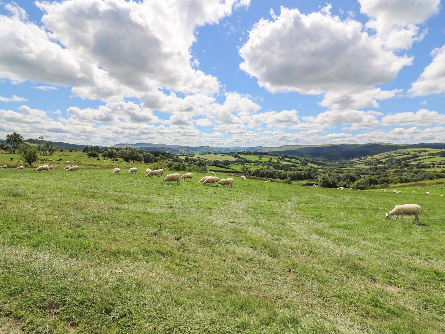 Woodland View, Powys