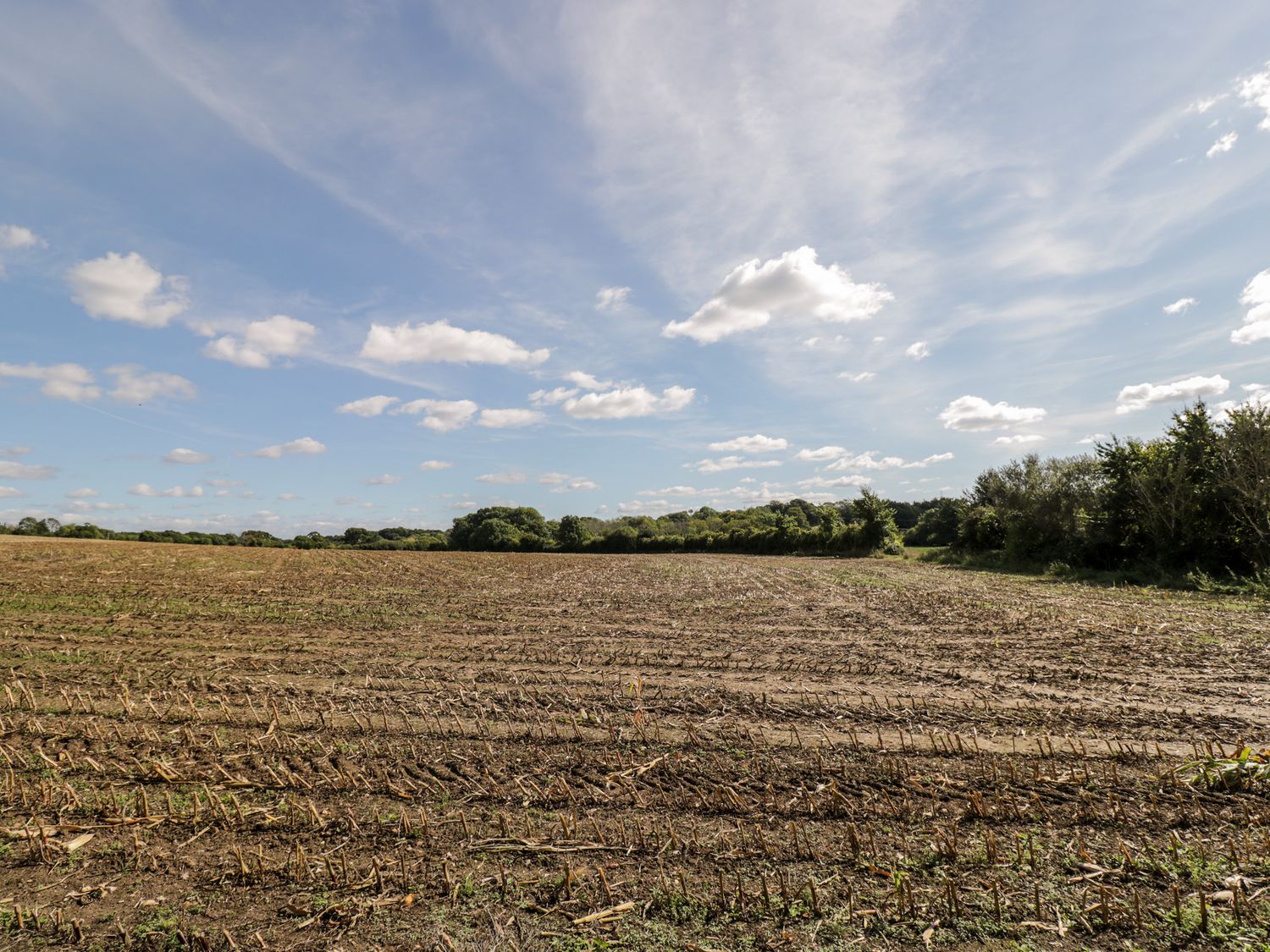 Sunny Croft, Dorchester
