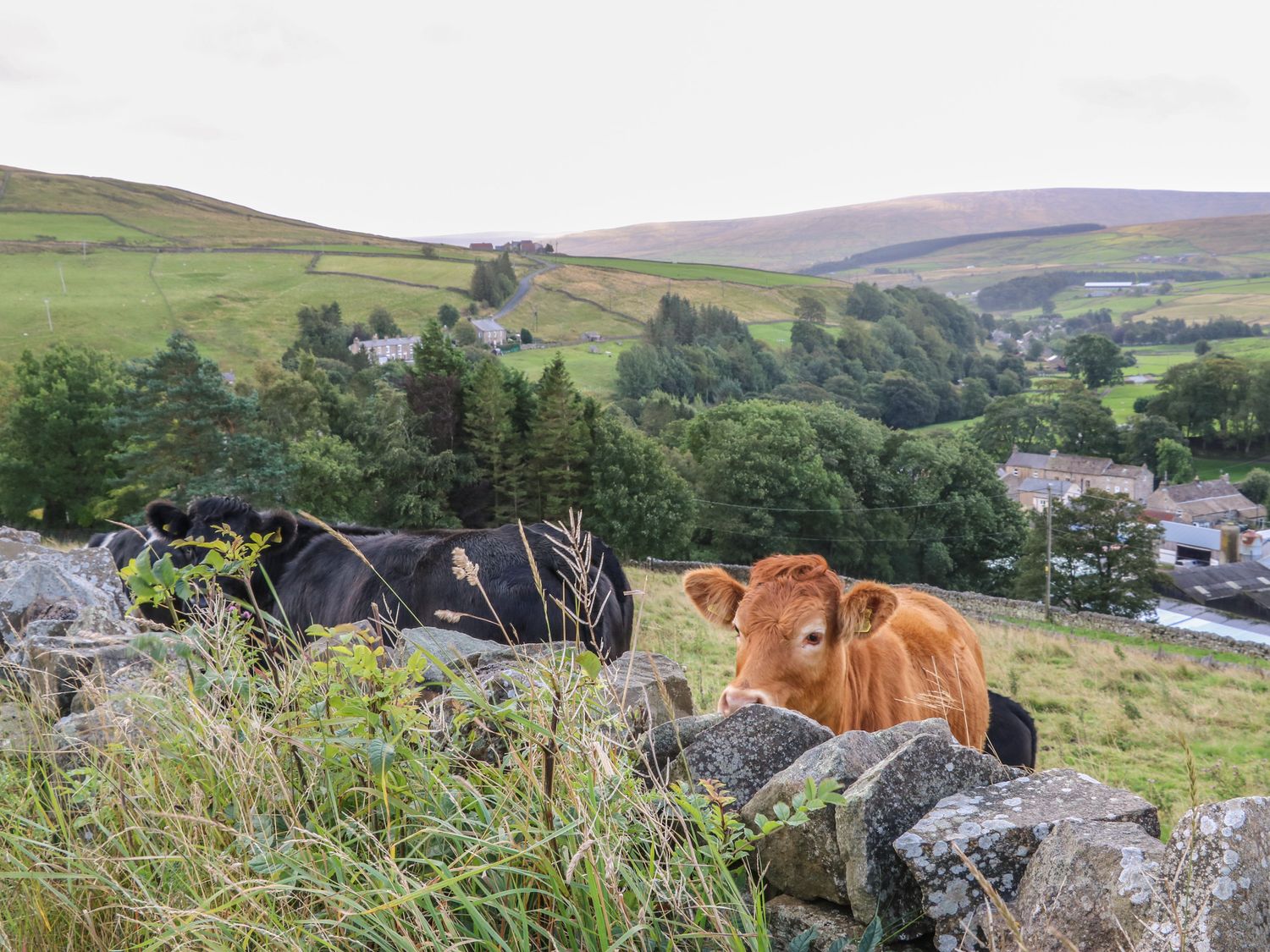 1 Braeside, County Durham