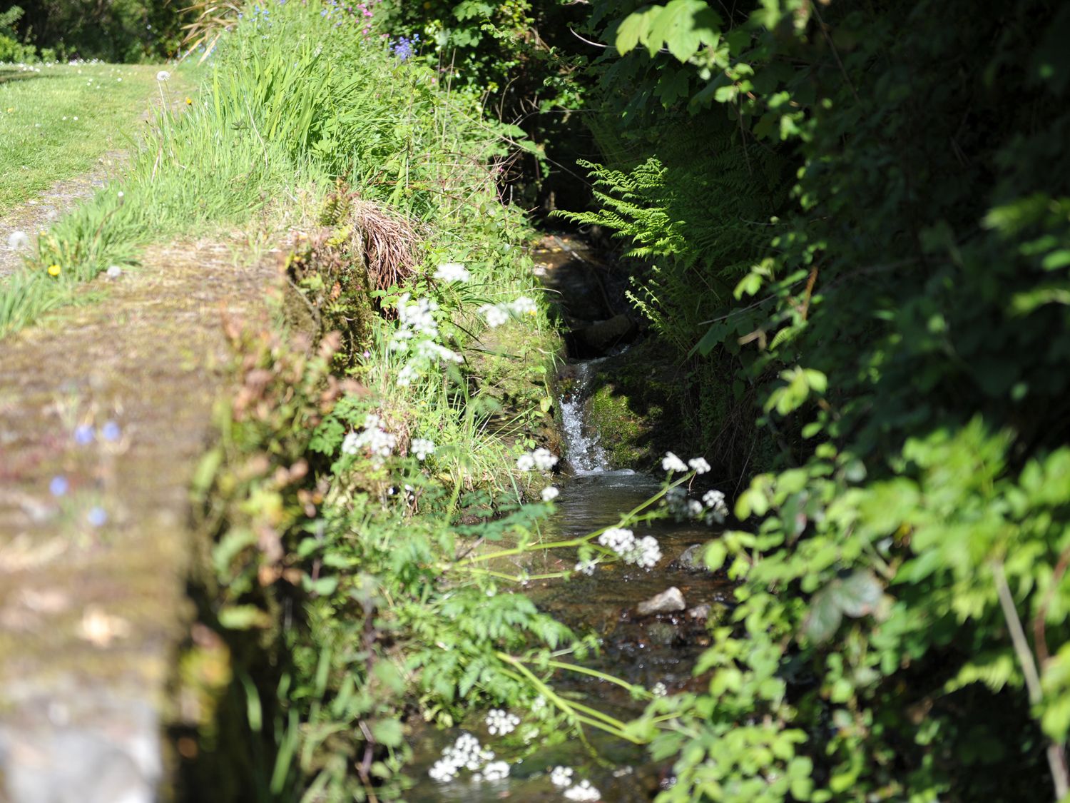 River Cottage, Cornwall