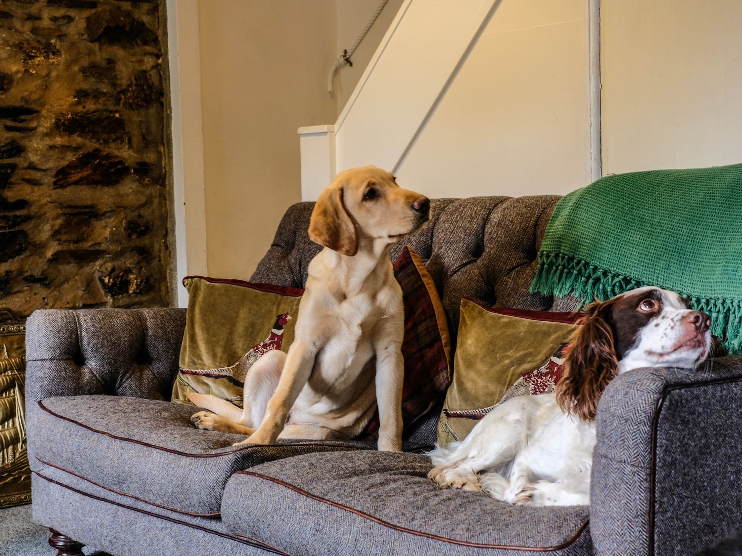 River Cottage, Cornwall