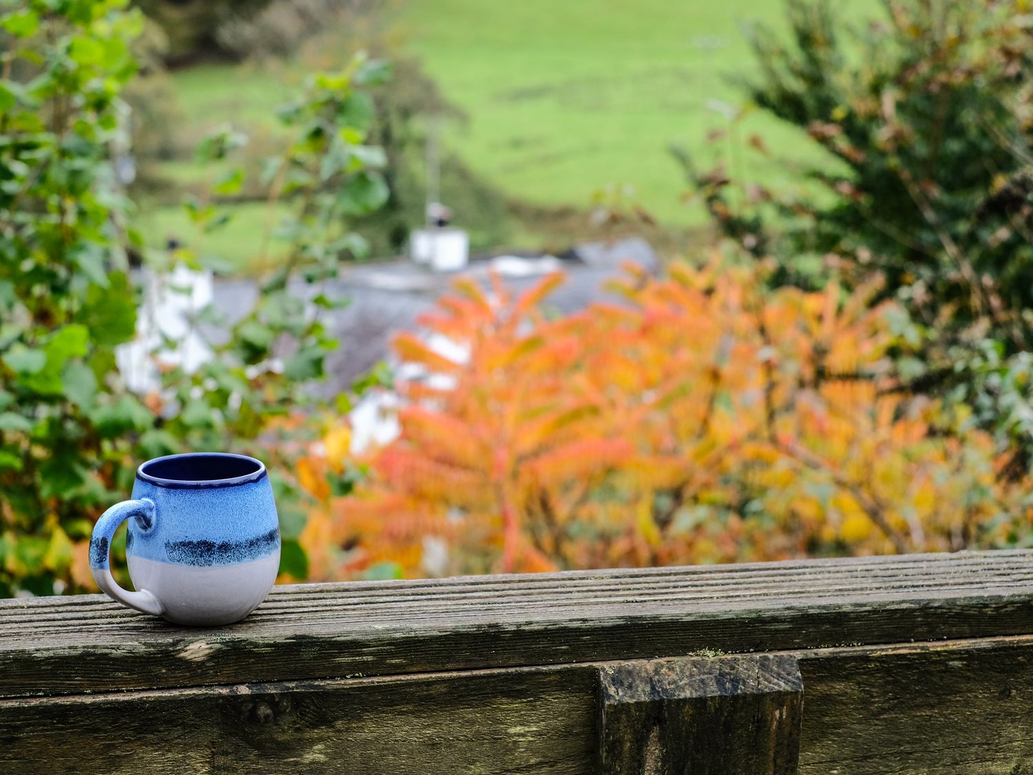 River Cottage, Cornwall