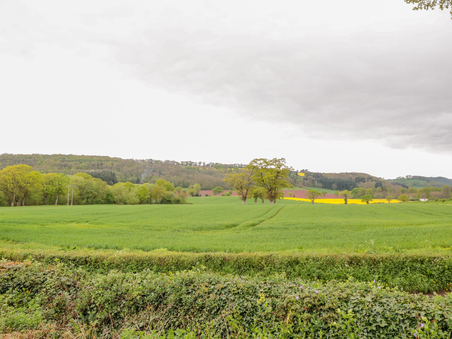 Bower View, Herefordshire