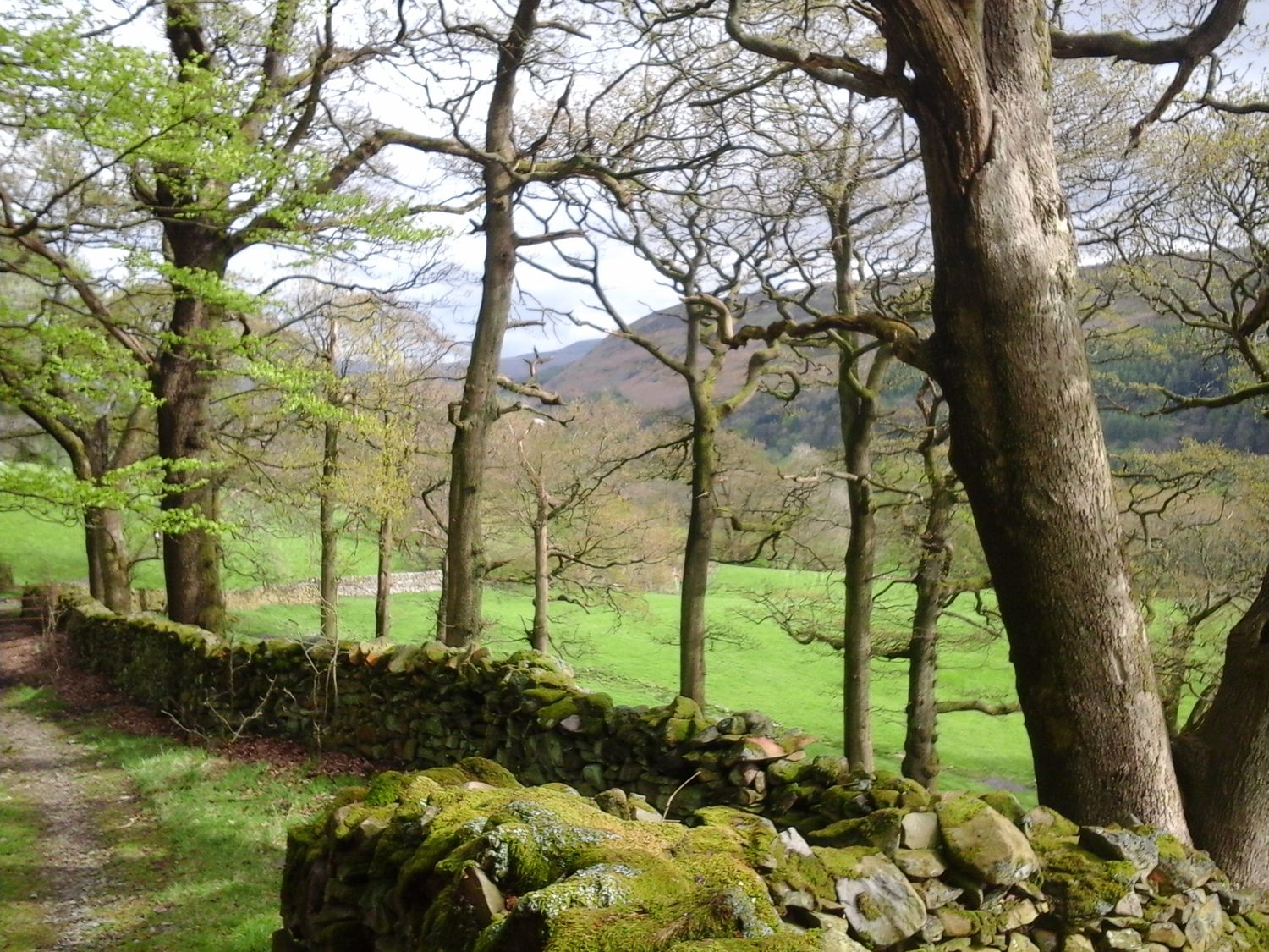 Boskins, Sedbergh