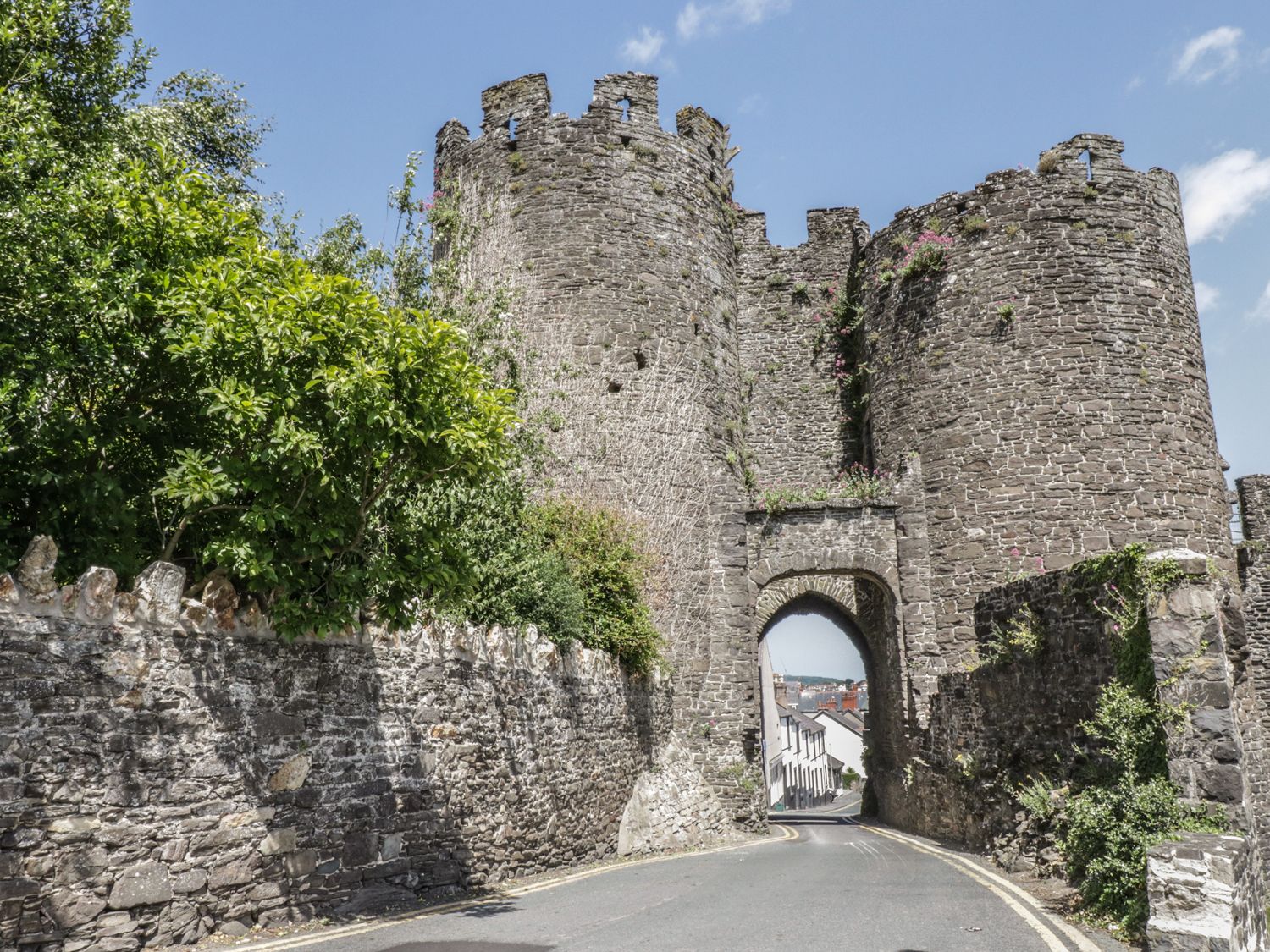 Ty Potiwr, Conwy