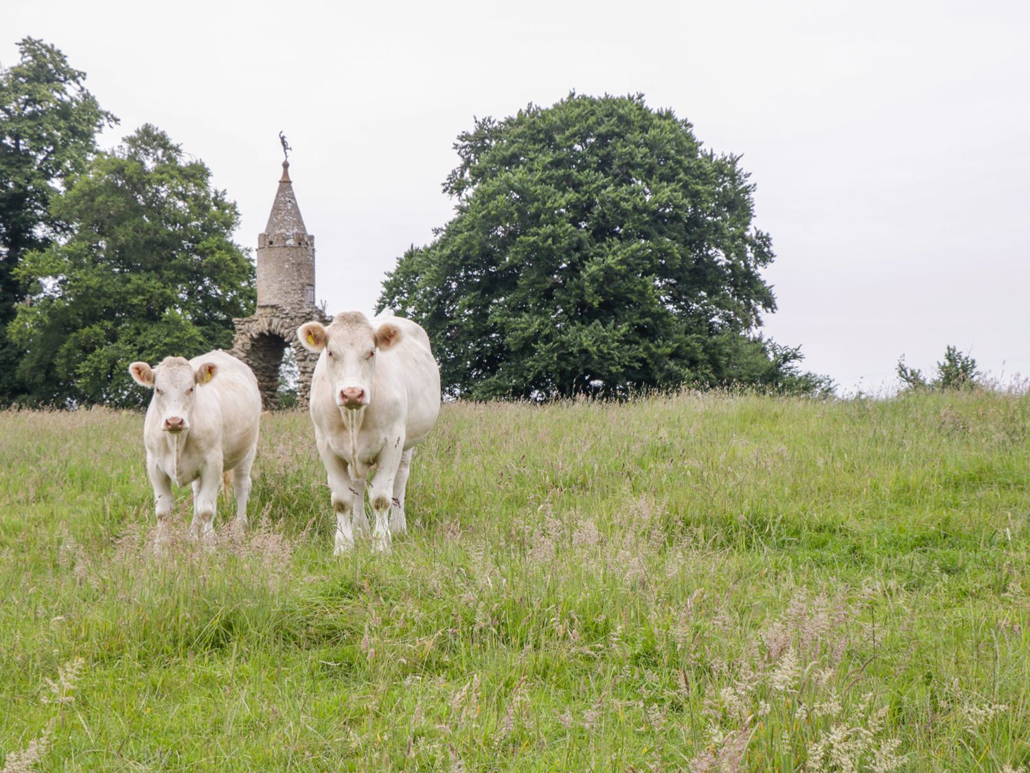The Milking Barn, Yeovil, Somerset