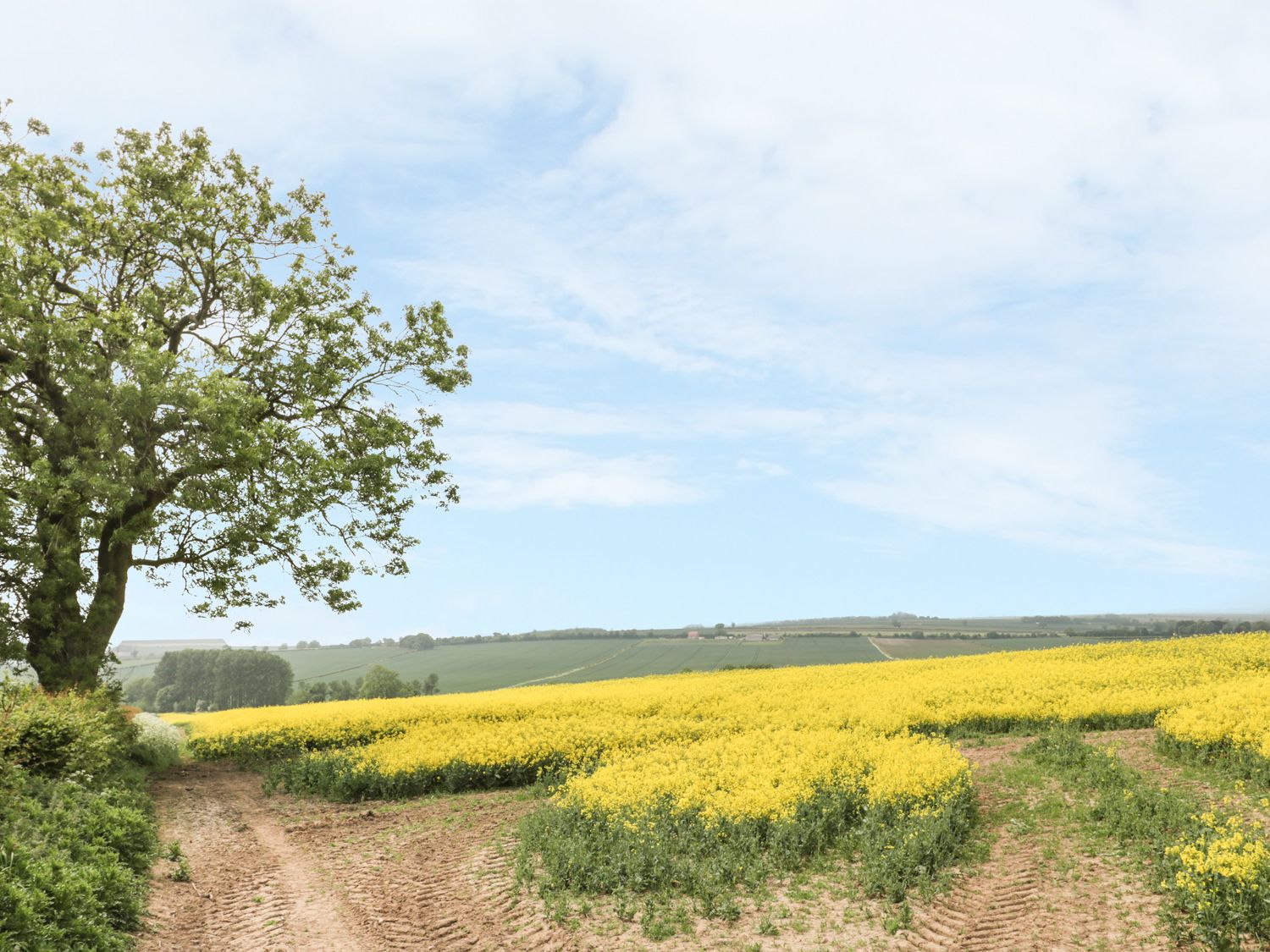Lena Cottage, Kilham