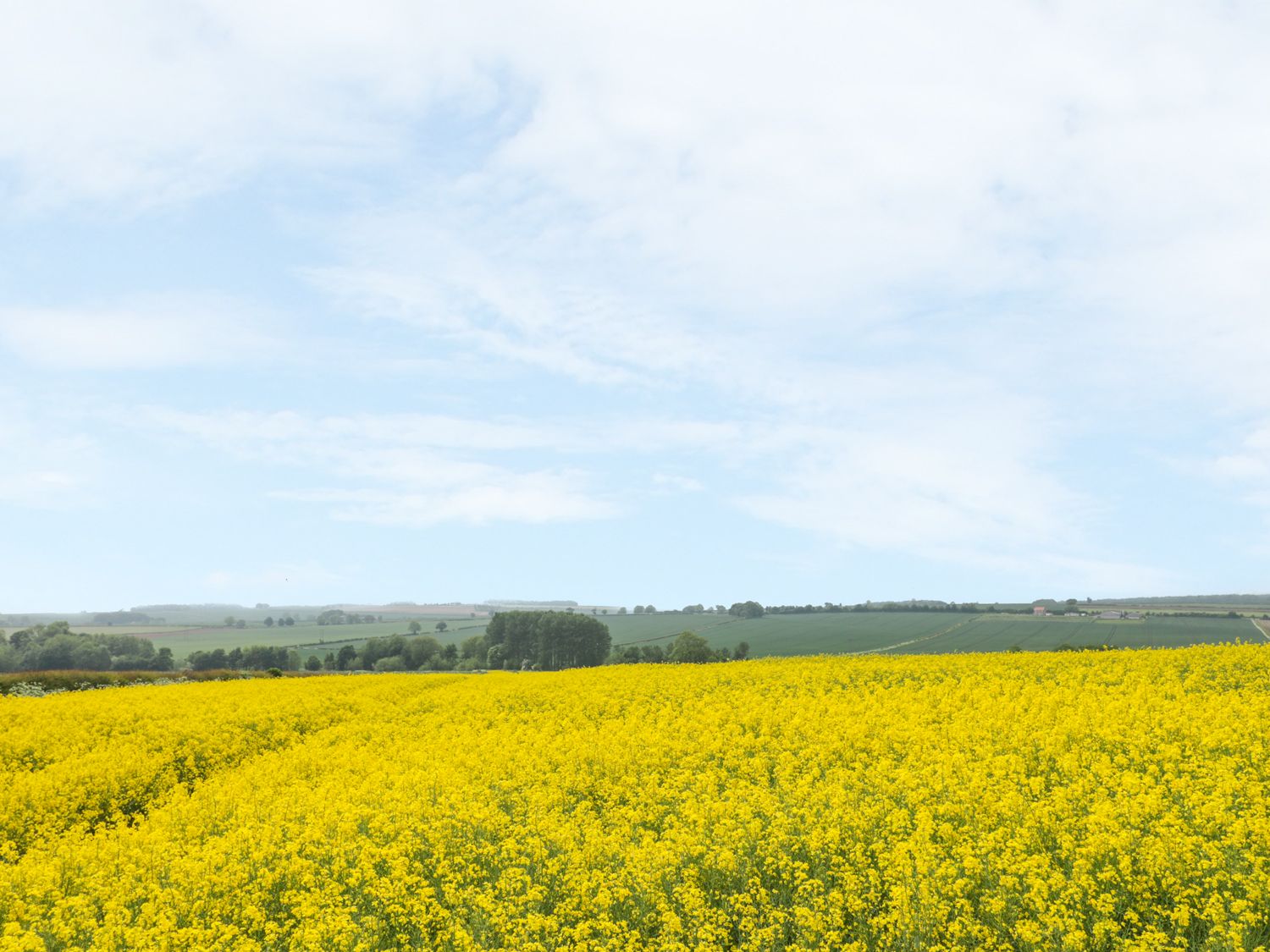 Lena Cottage, Kilham