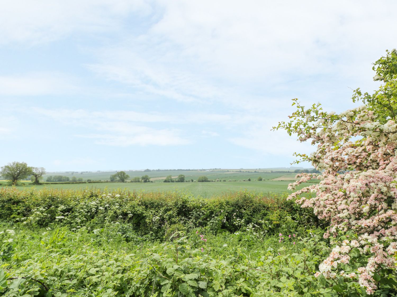Lena Cottage, Kilham