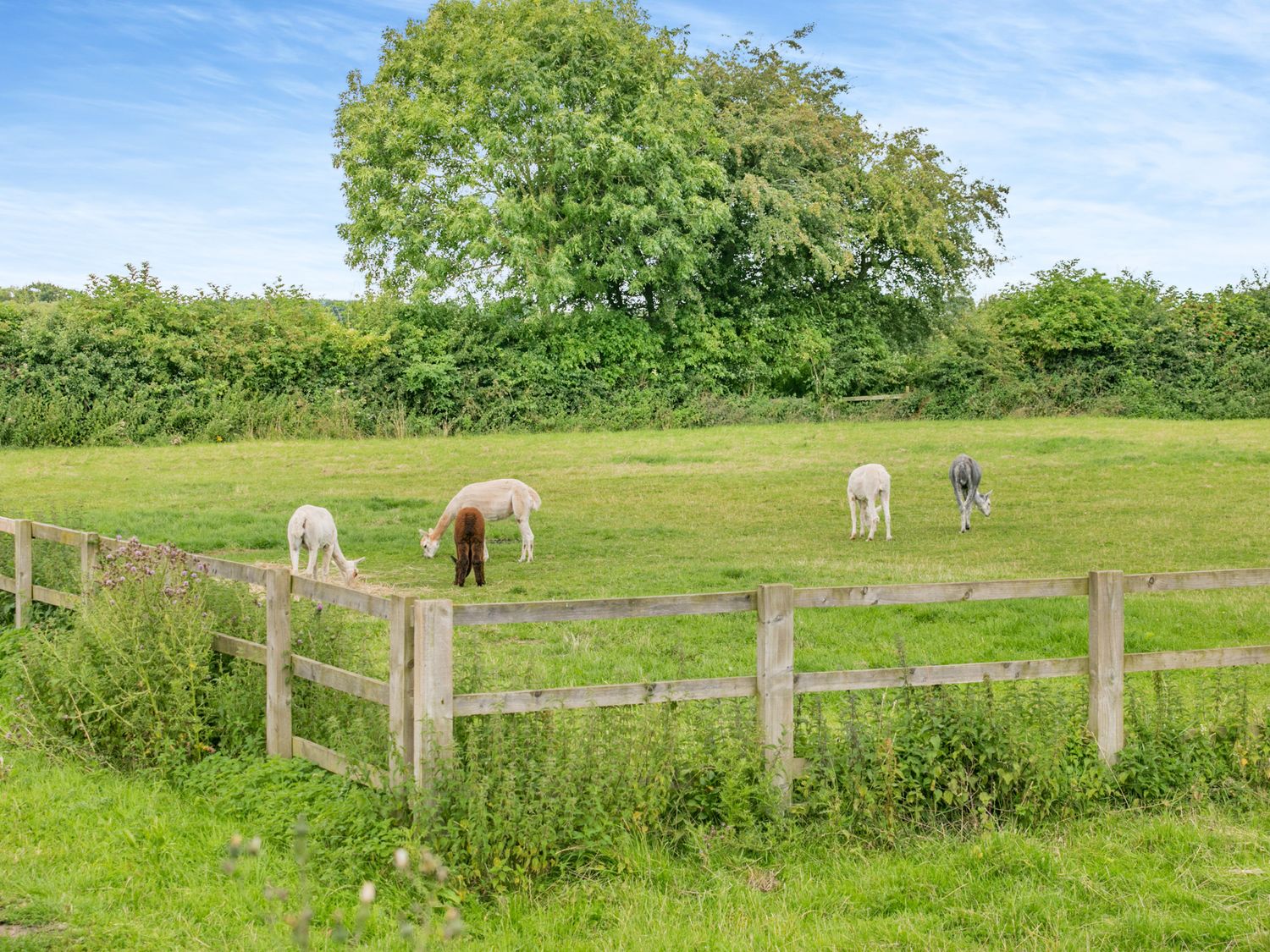 Stubbs Grange Barn, South Yorkshire