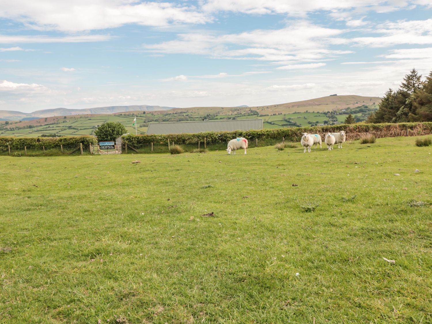 Lundy Lodge - Begwyns View, Herefordshire