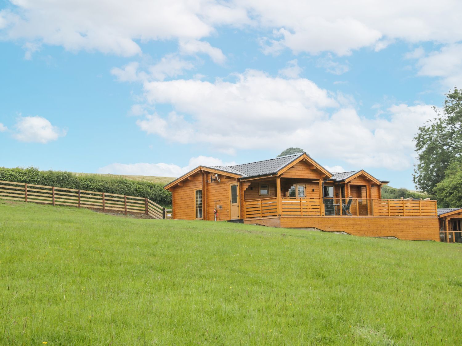 Manor Farm Lodges - Dragon Lodge, Newtown