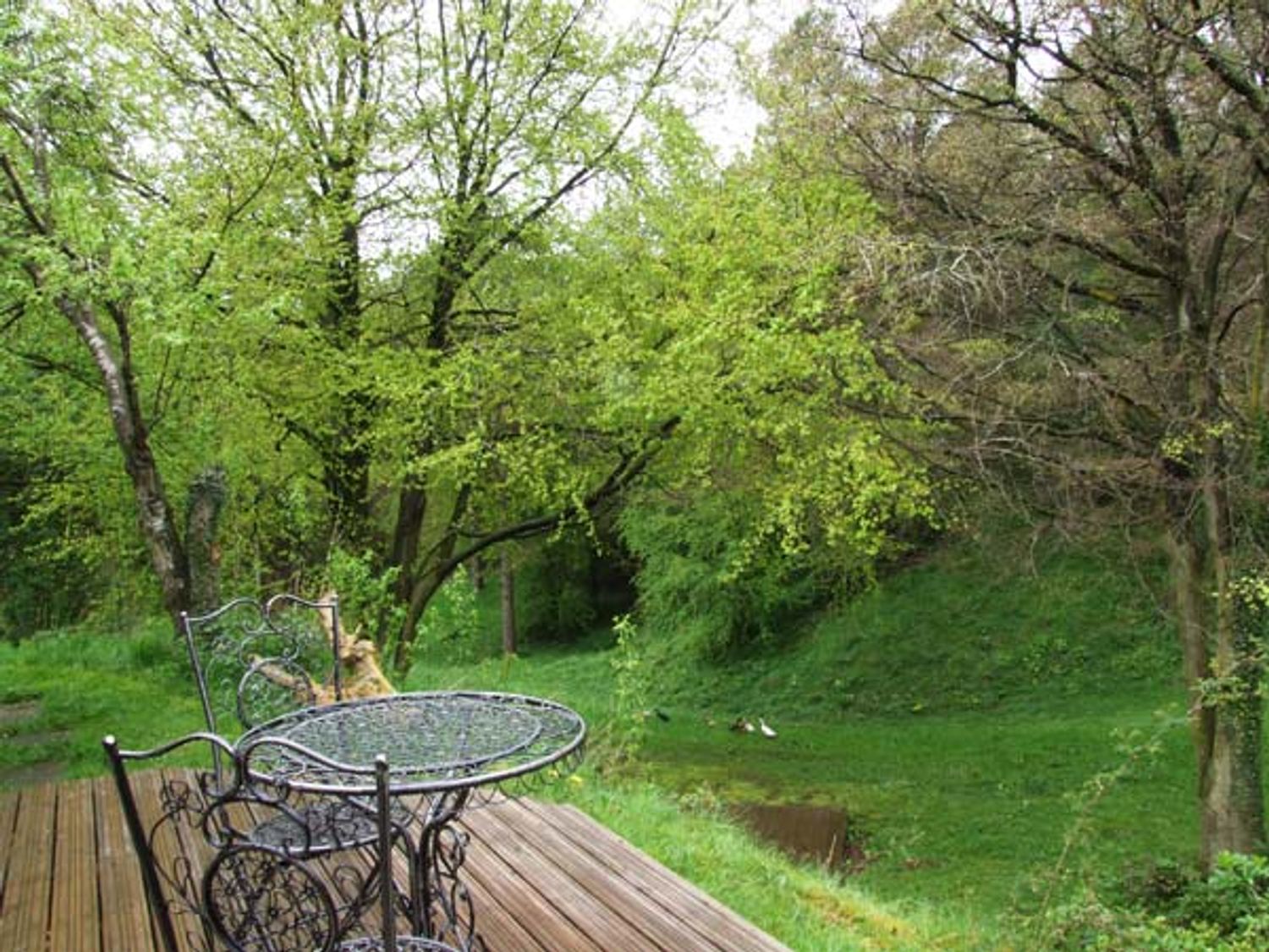 Bailey Point Cottage, Heart of England