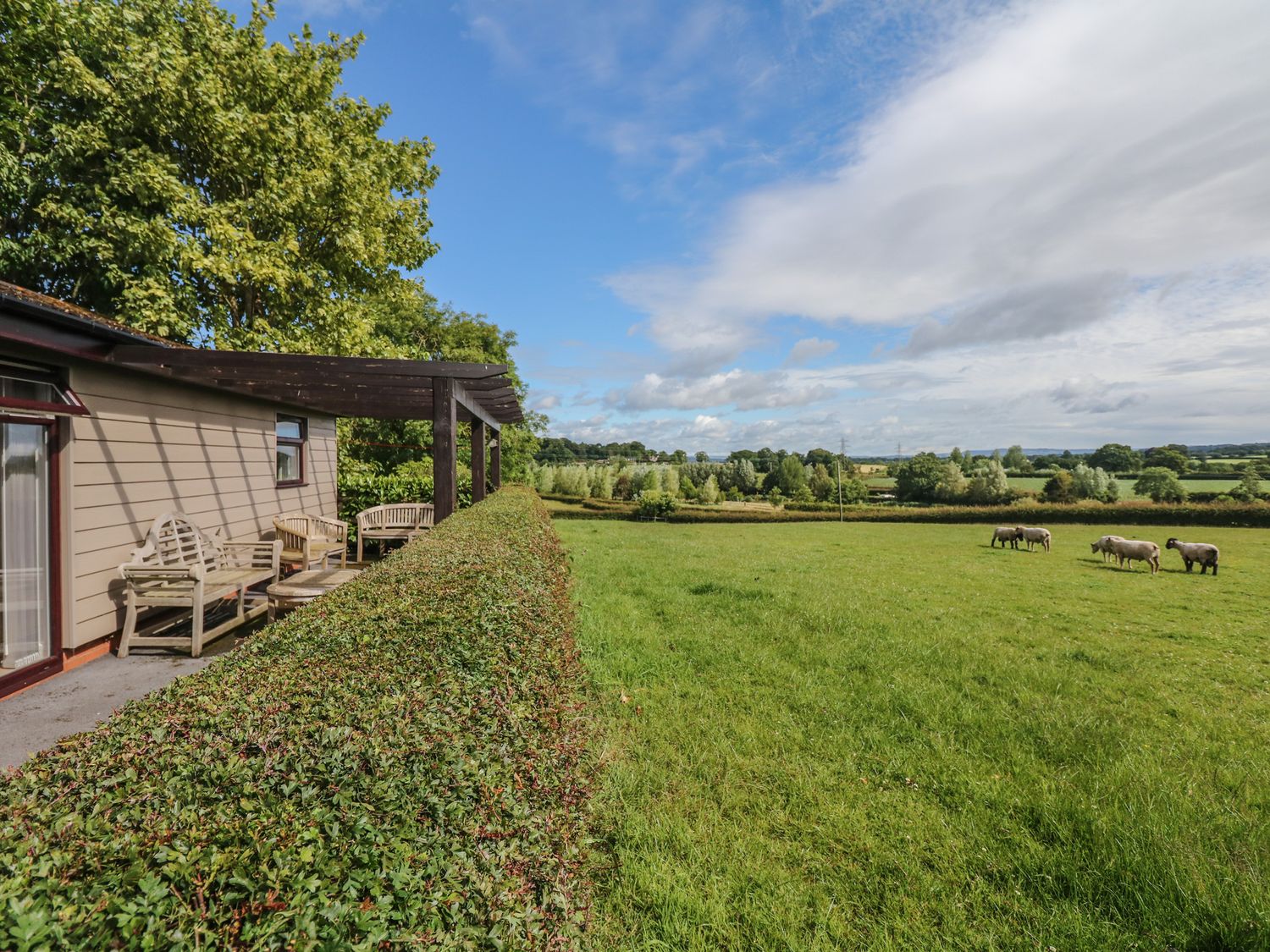 Upham View, Devon