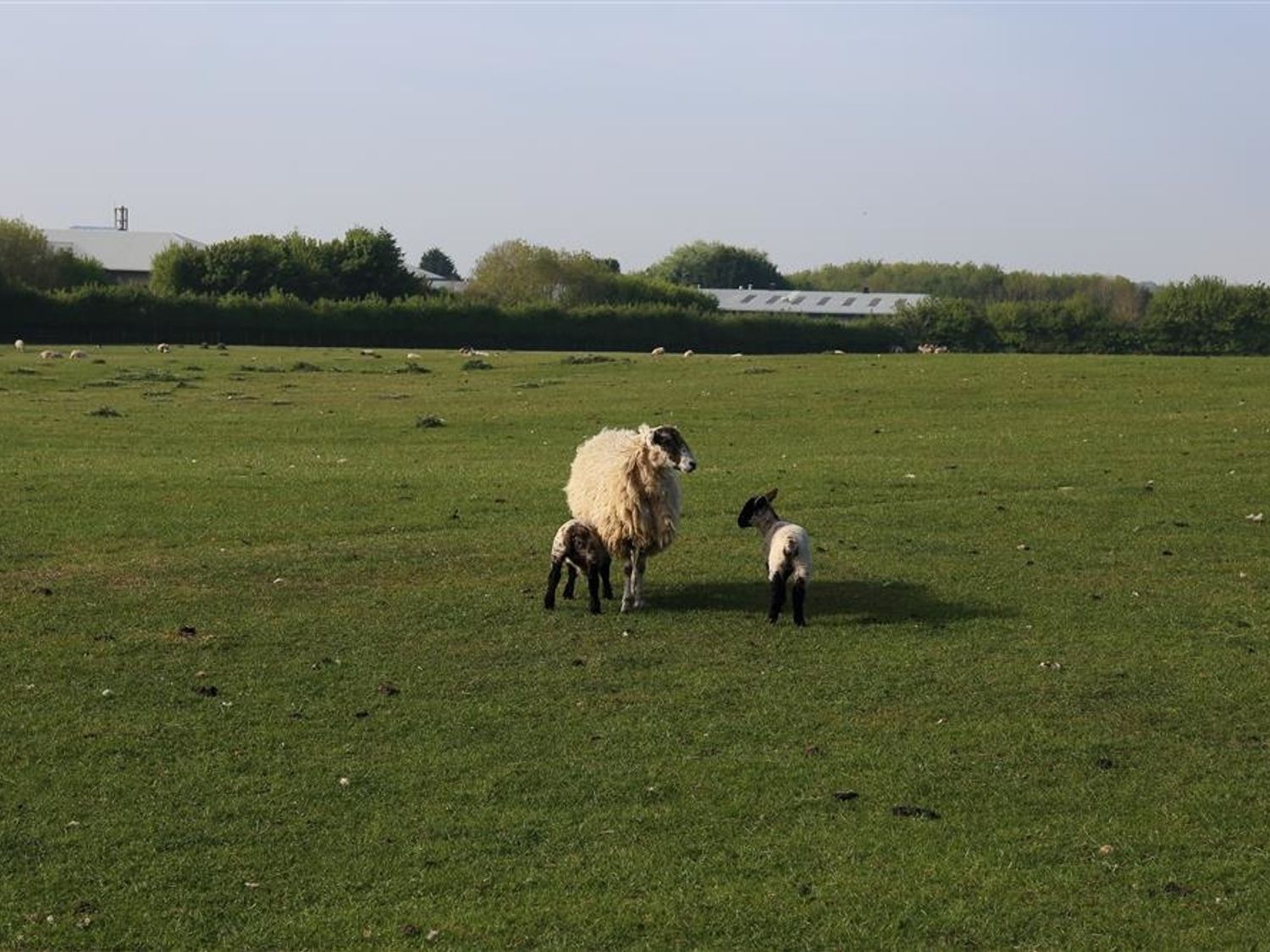 Gallery Barn, Leafield