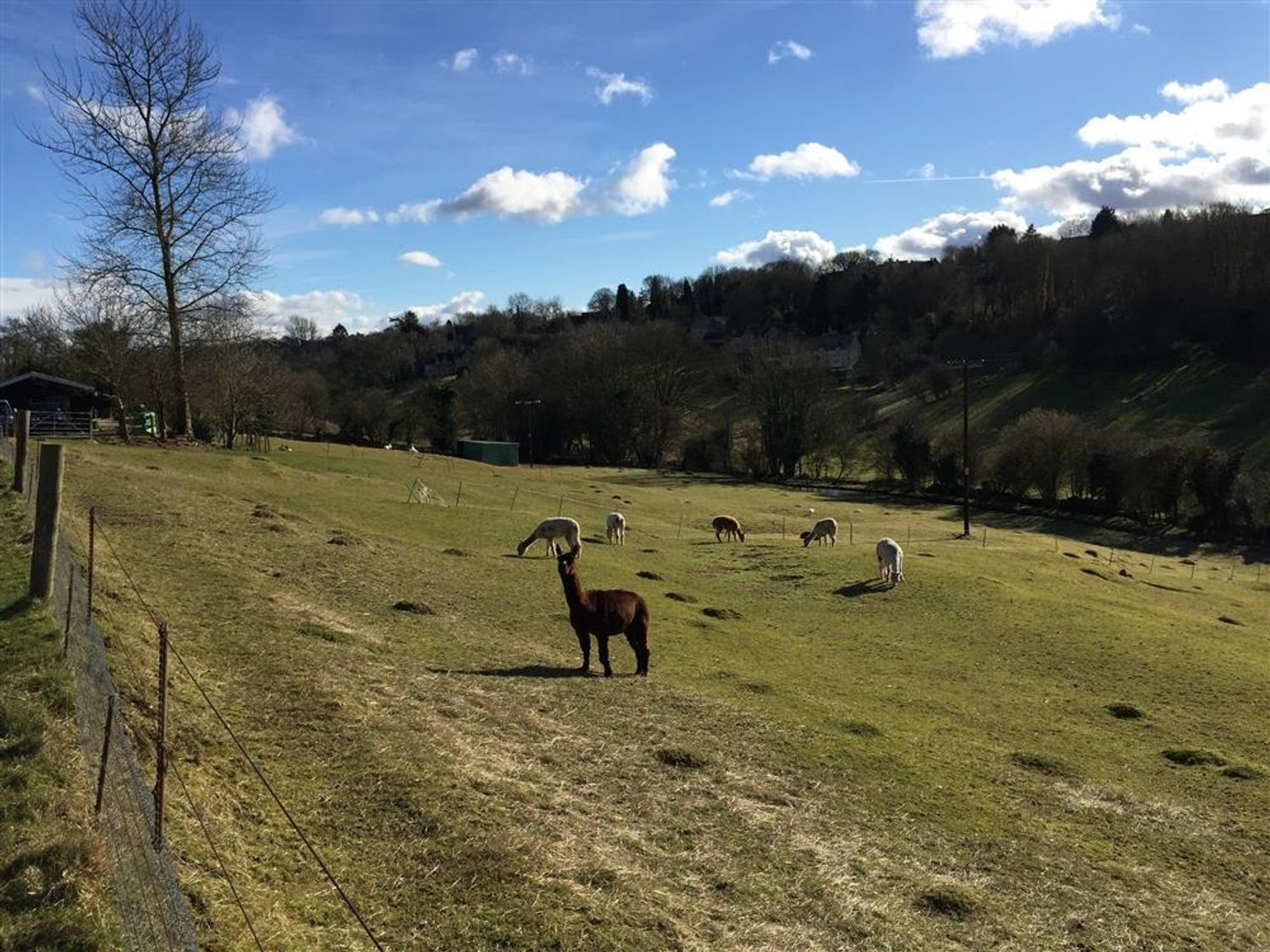 Brooklands, Chedworth