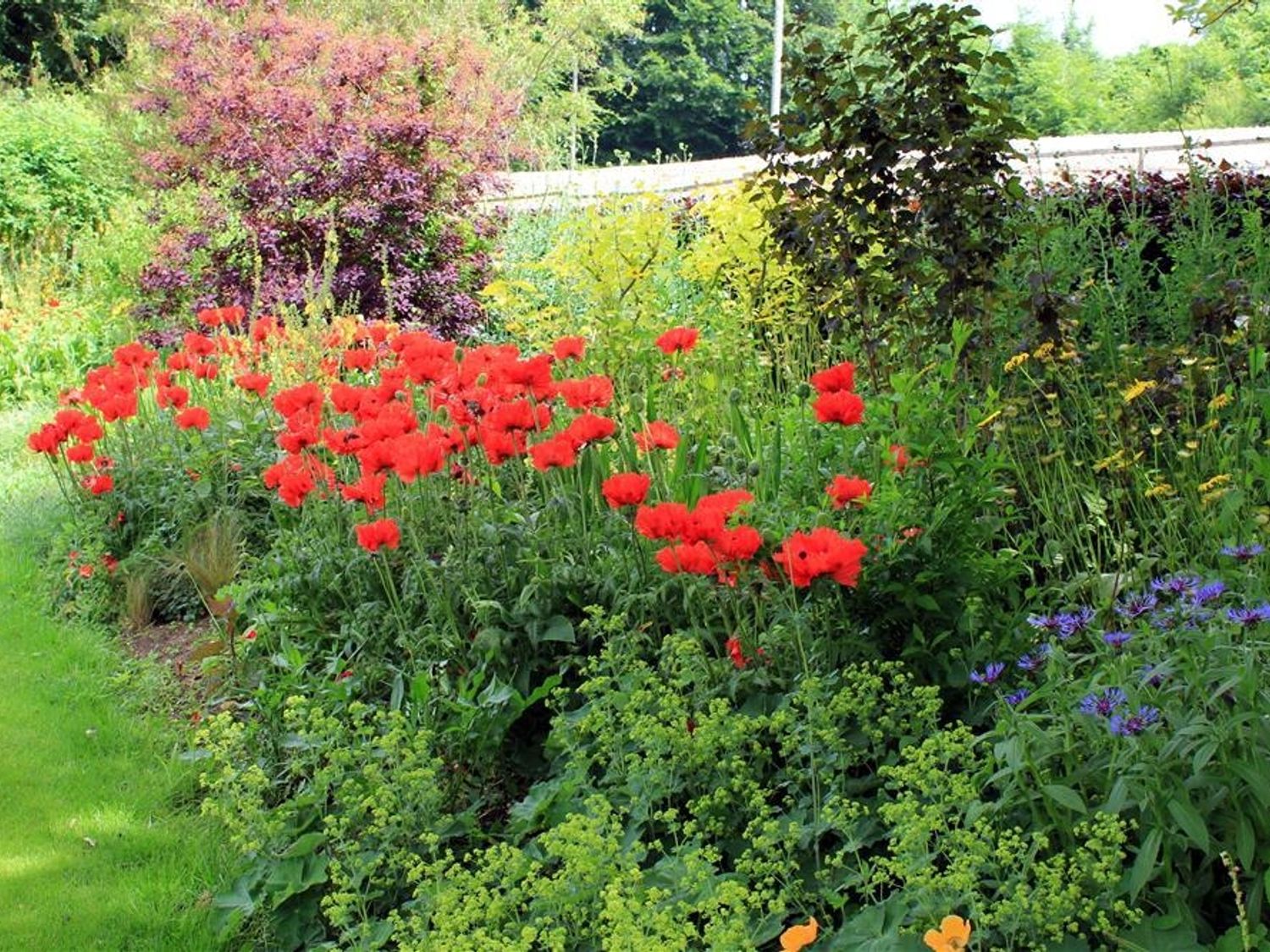 Avon Turn Barn, Salisbury