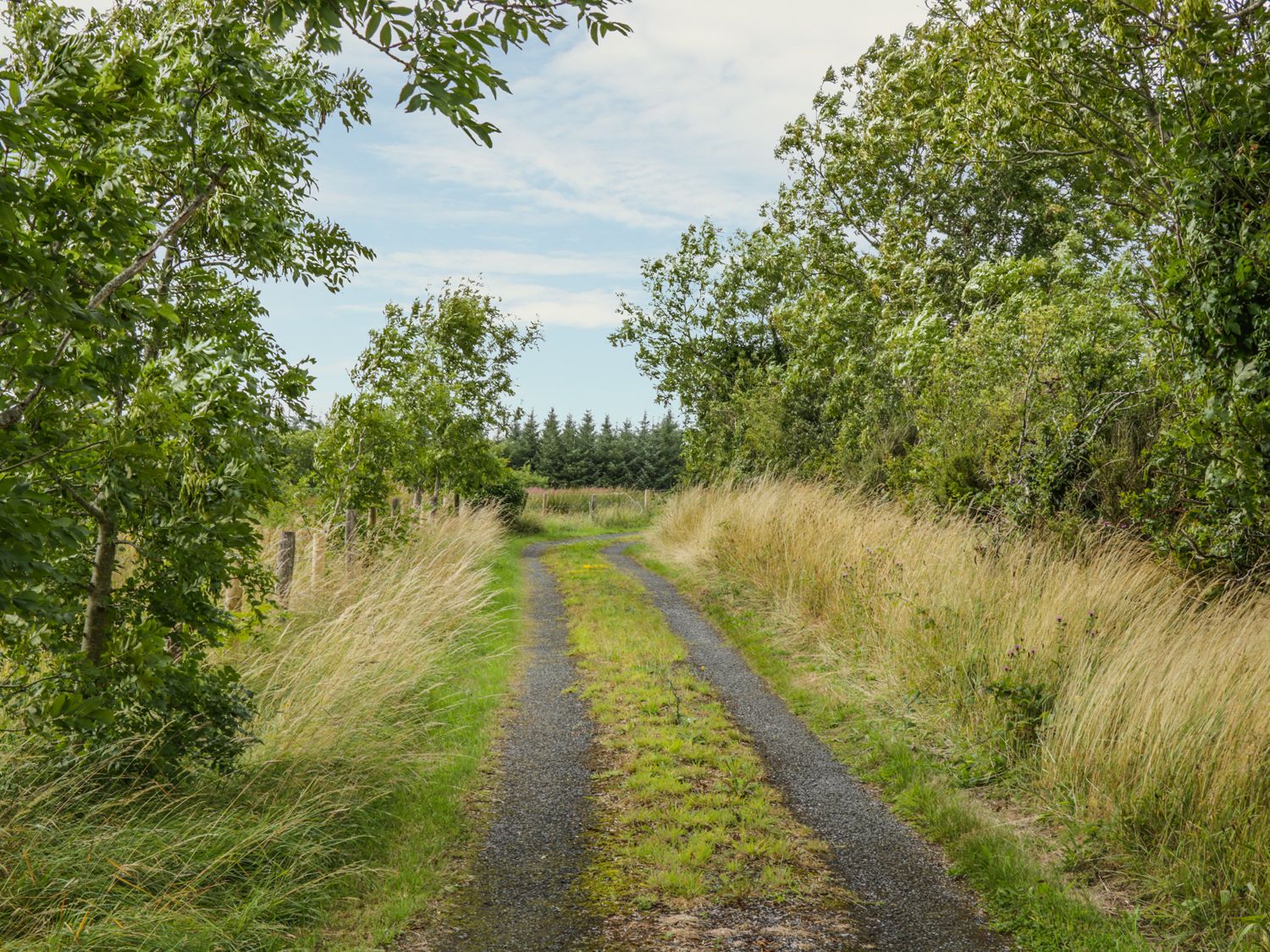 Mc's Cottage, Ballymote