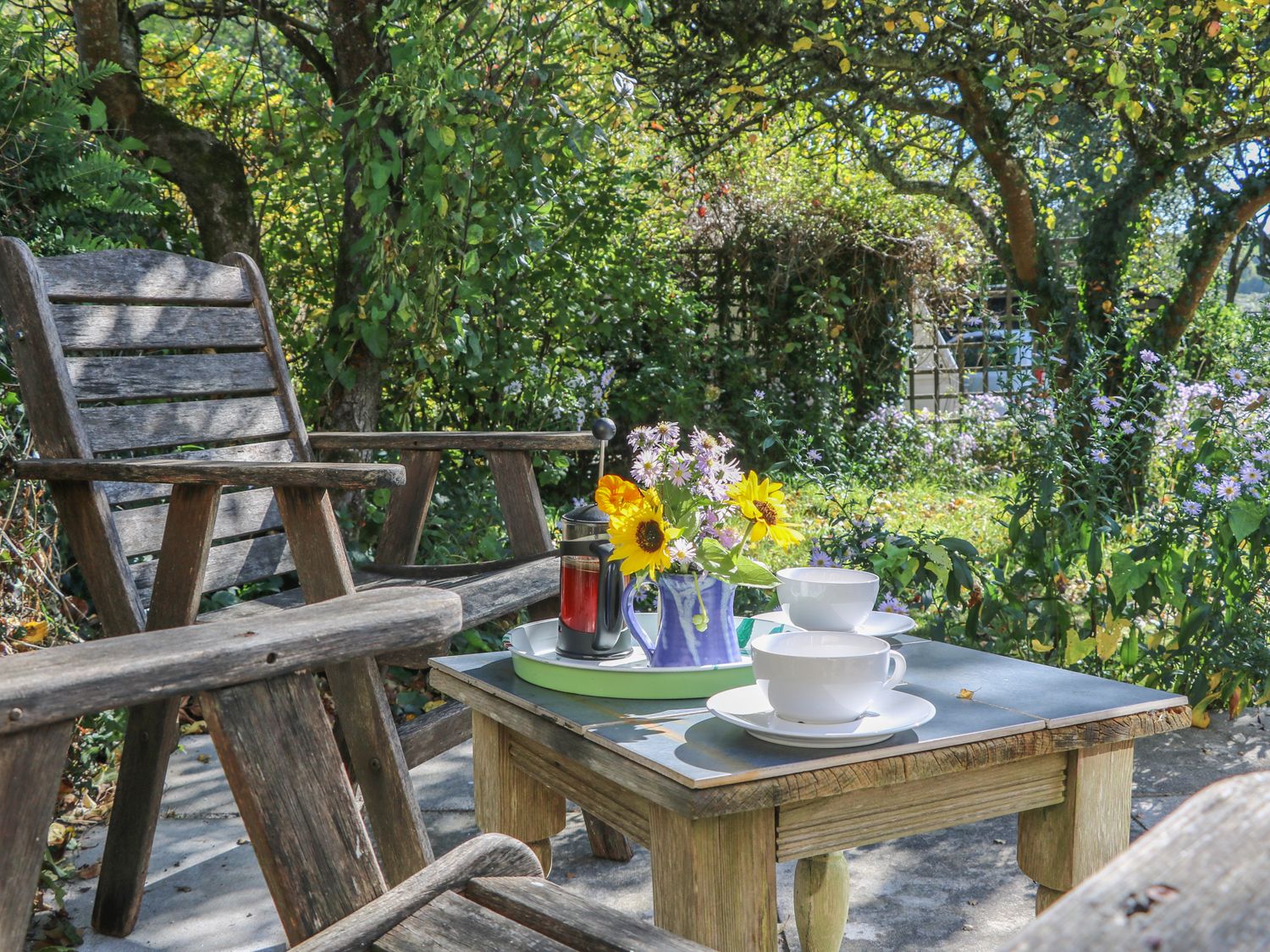 The Daffodil Shed, Devon