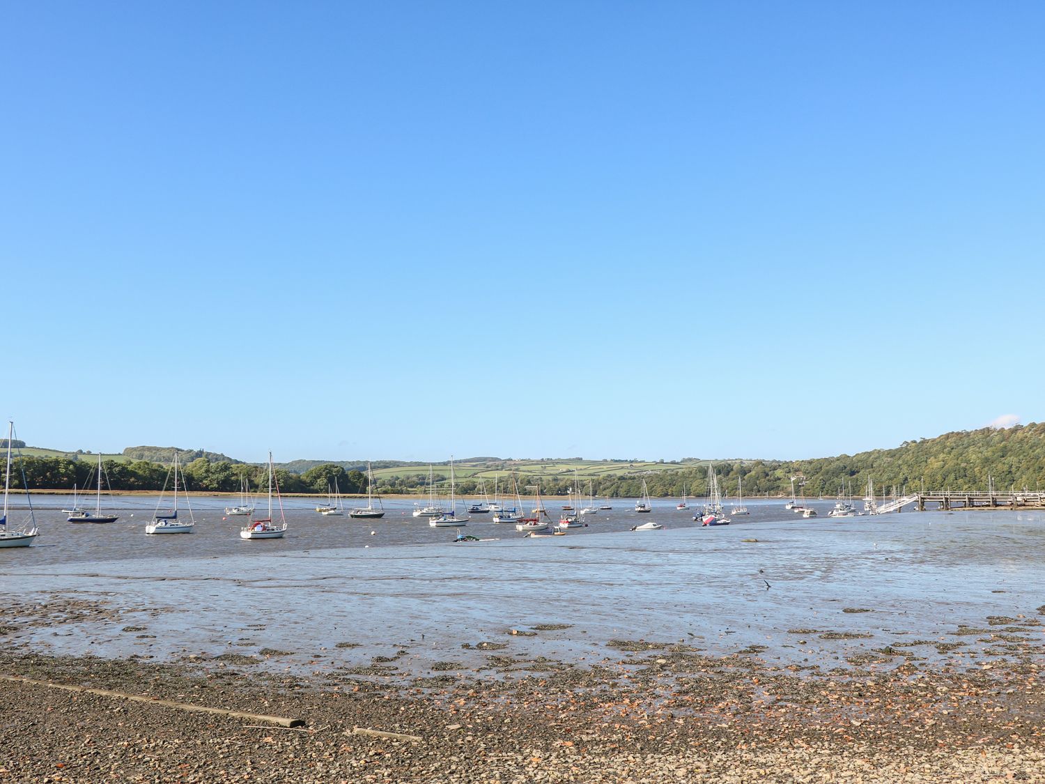 The Daffodil Shed, Devon