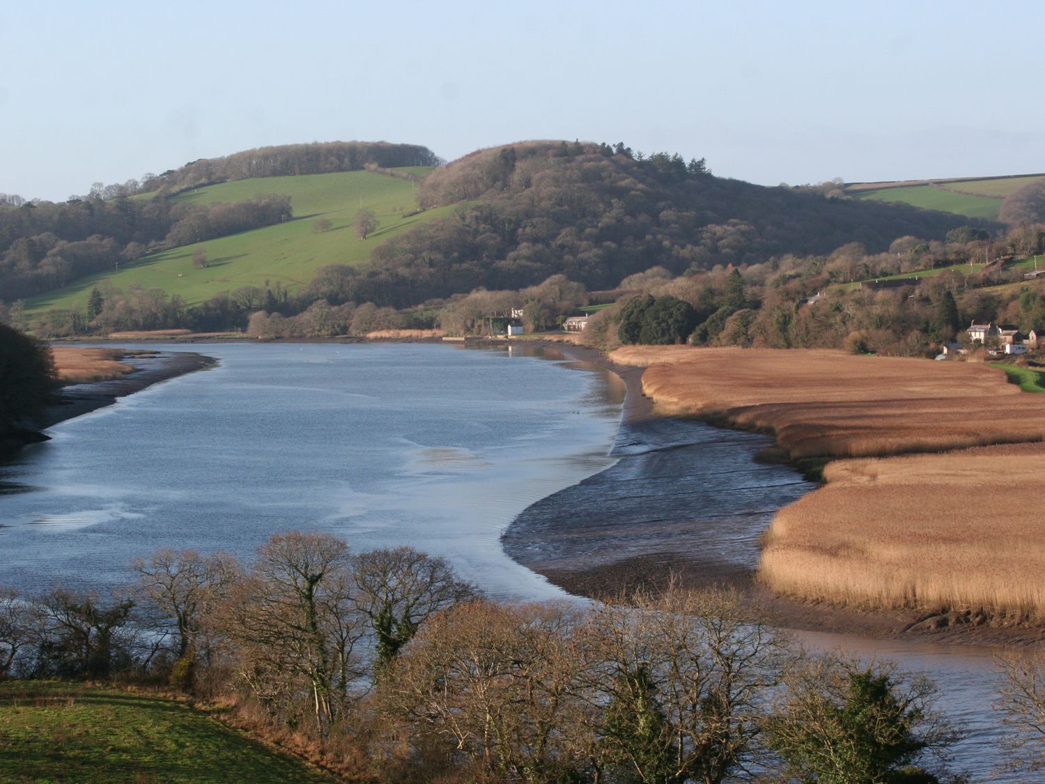 The Daffodil Shed, Devon