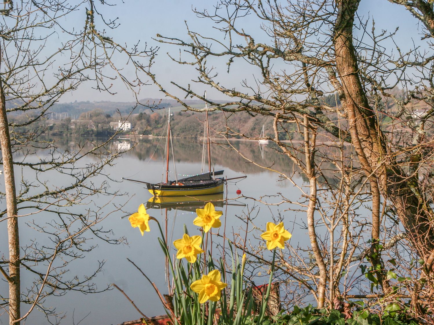 The Daffodil Shed, Devon