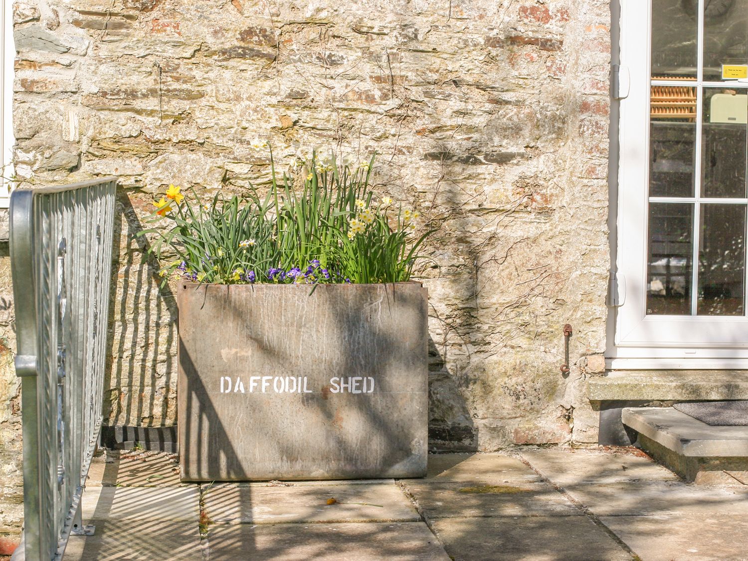 The Daffodil Shed, Devon