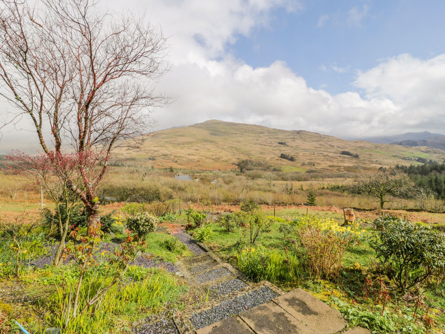Snowdon Vista Cabin, North Wales