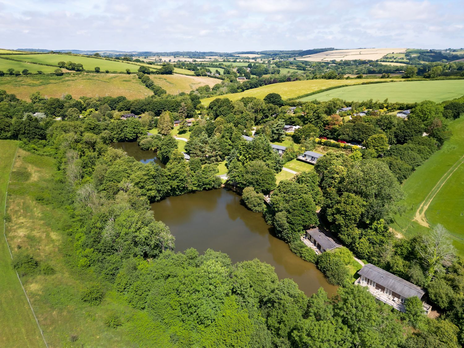 4 Hedgerows, Lanreath