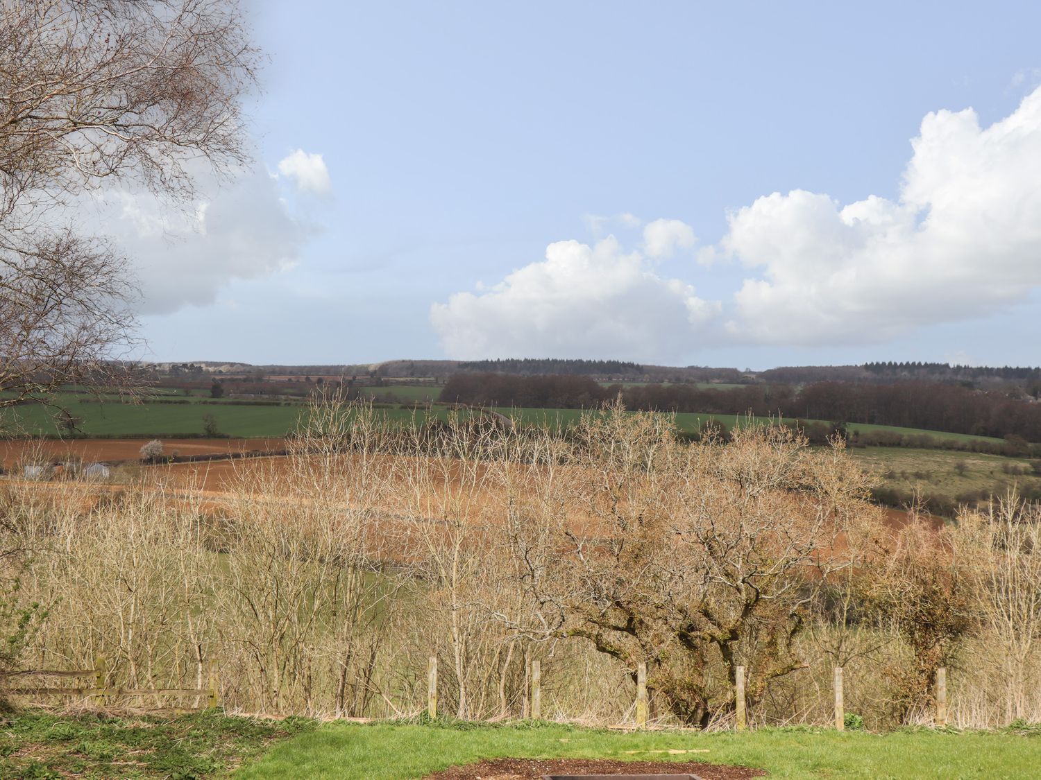 Tree Tops, East End