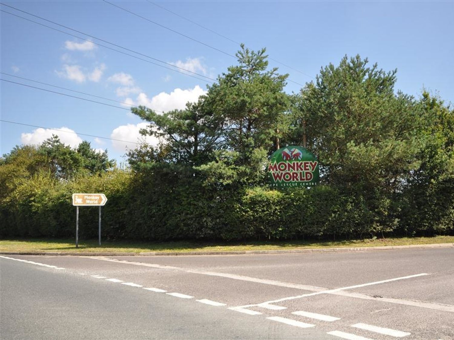 Coombe Orchard, Dorset
