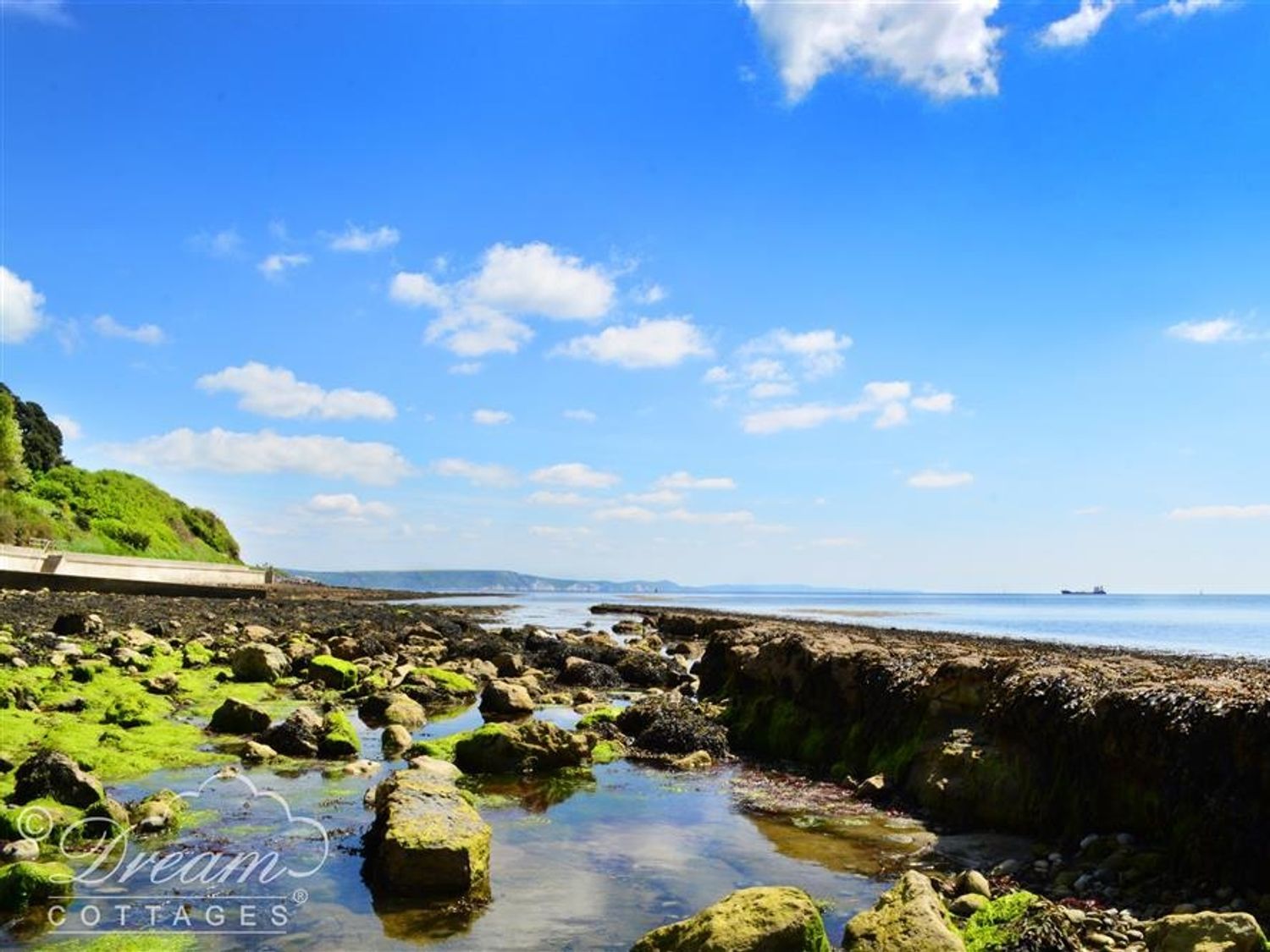 Reaver, Dorset