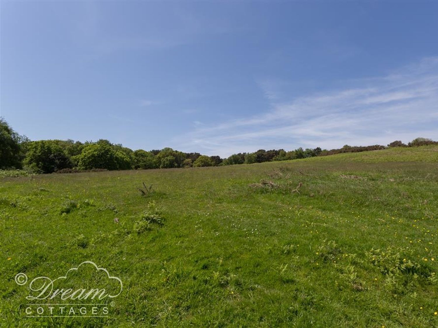 Studland Cottage, Swanage