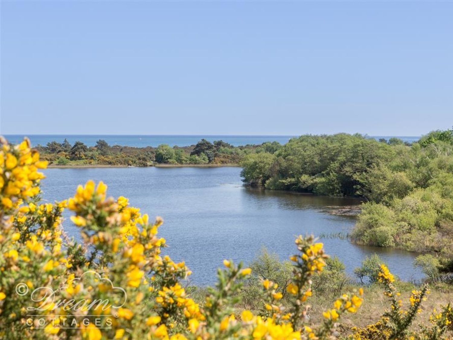 Studland Cottage, Swanage