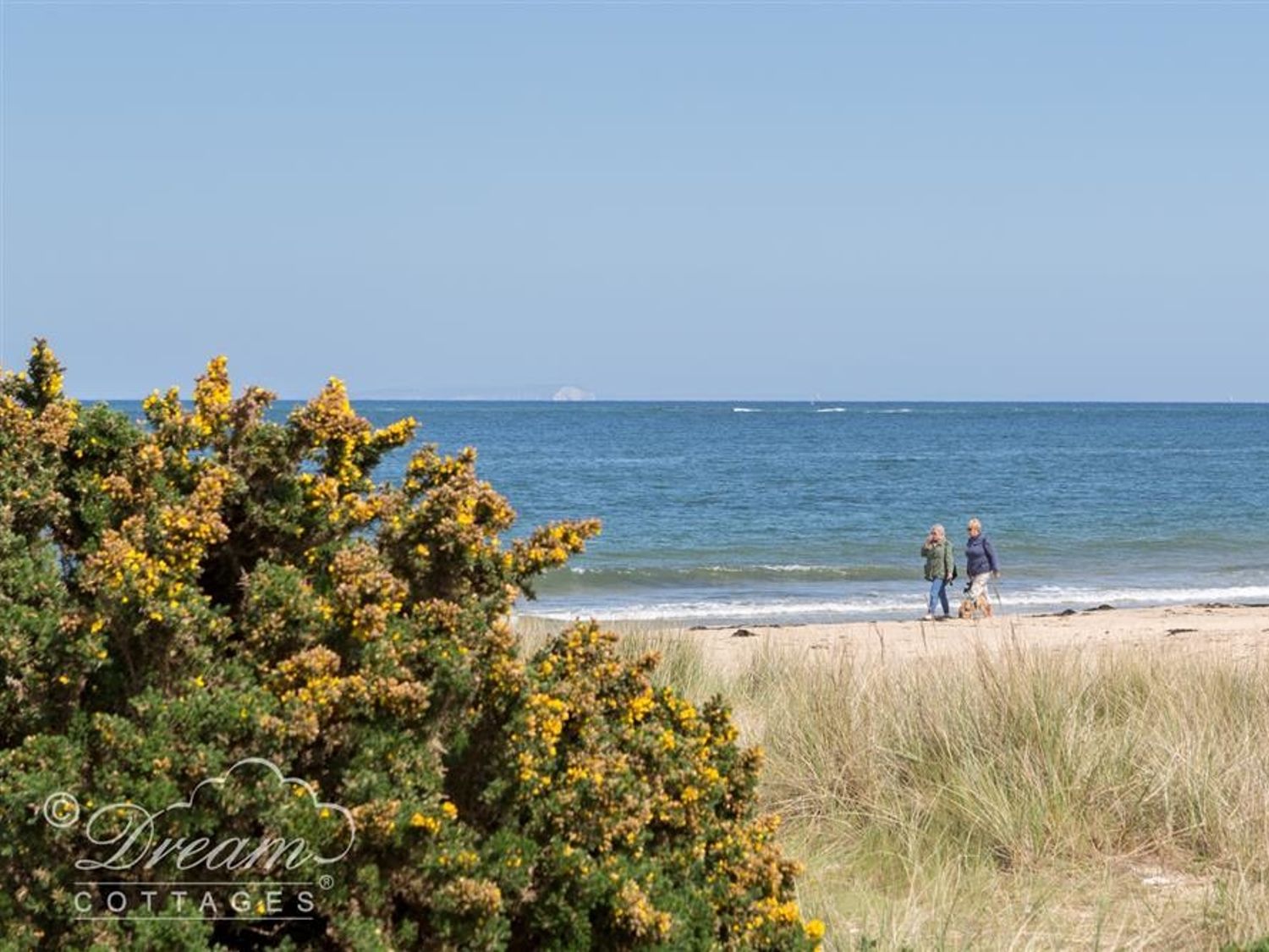 Studland Cottage, Swanage
