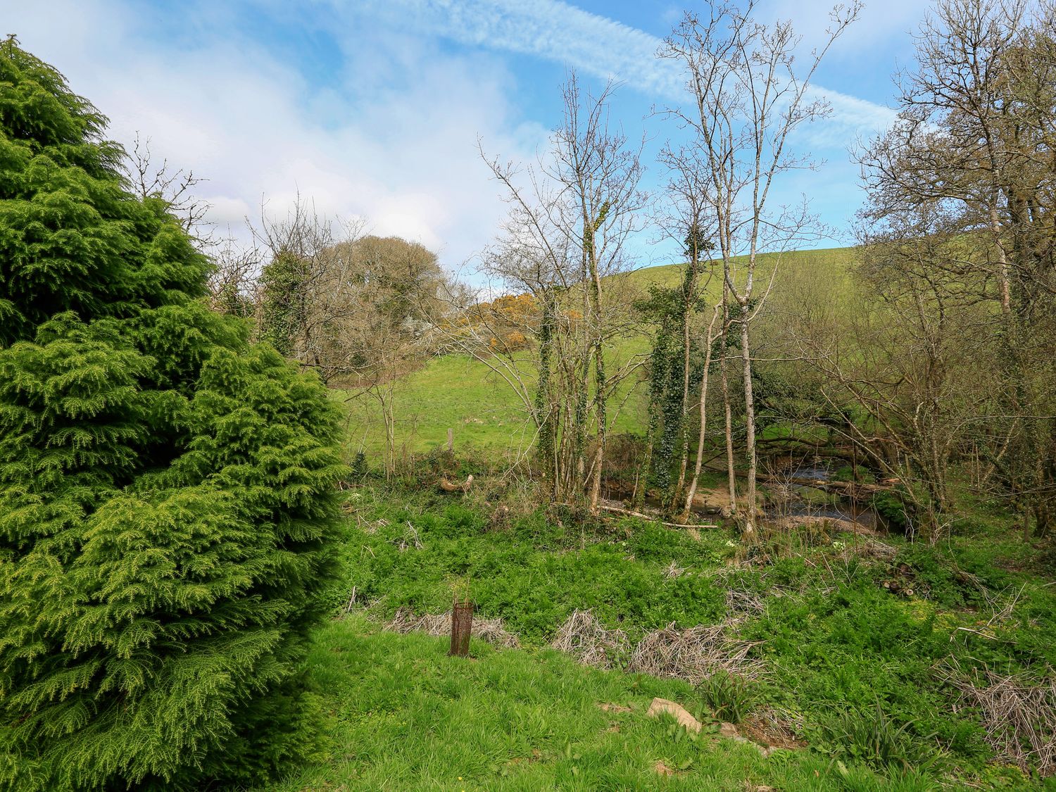 Hope Cottage, Lower Idston, Devon