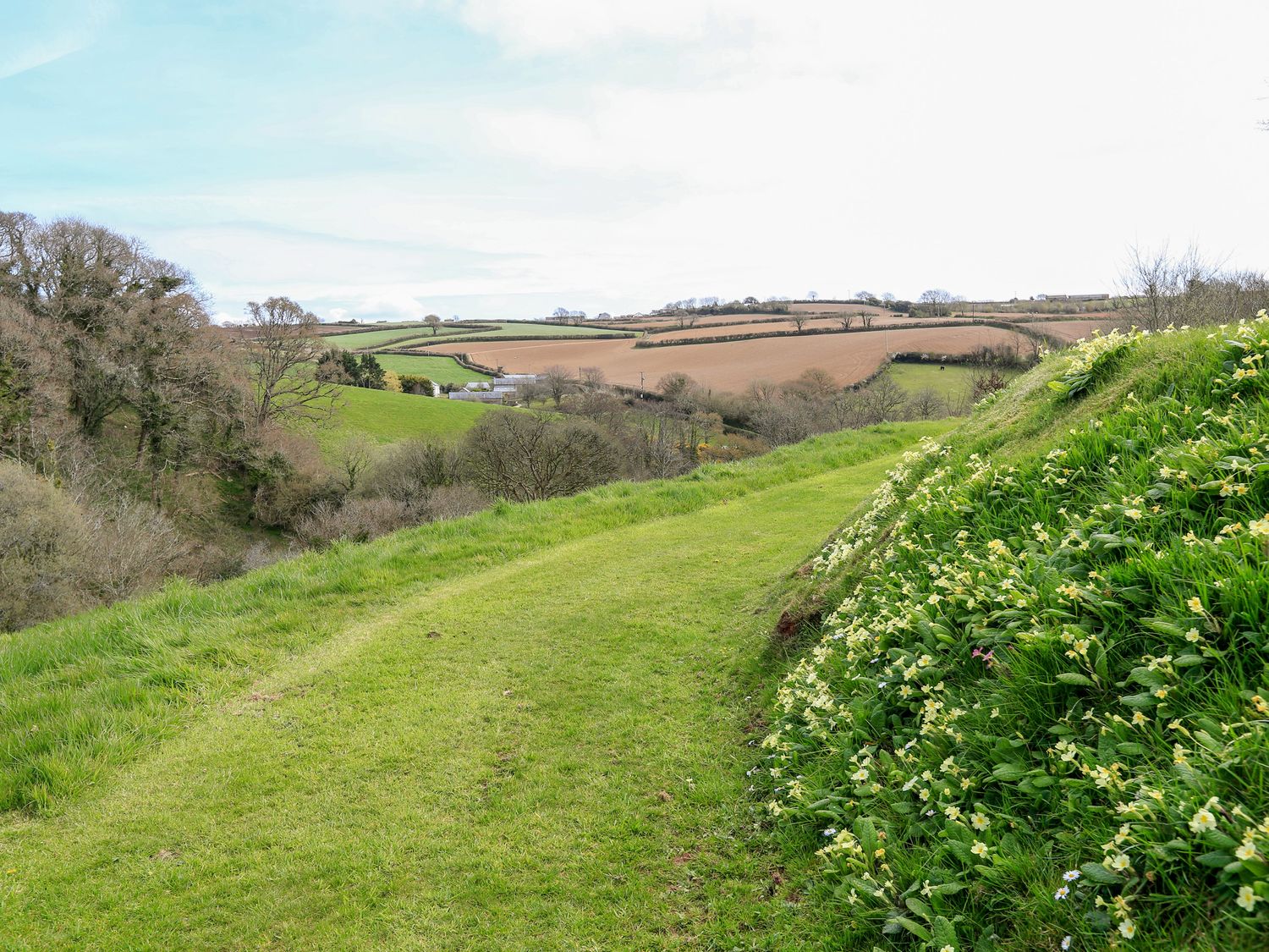 Hope Cottage, Lower Idston, Devon