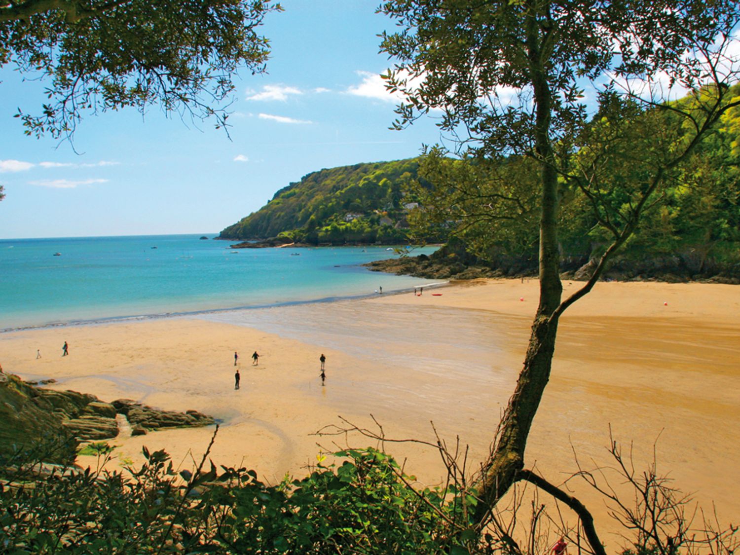 Primrose Cottage (Buckley), Salcombe