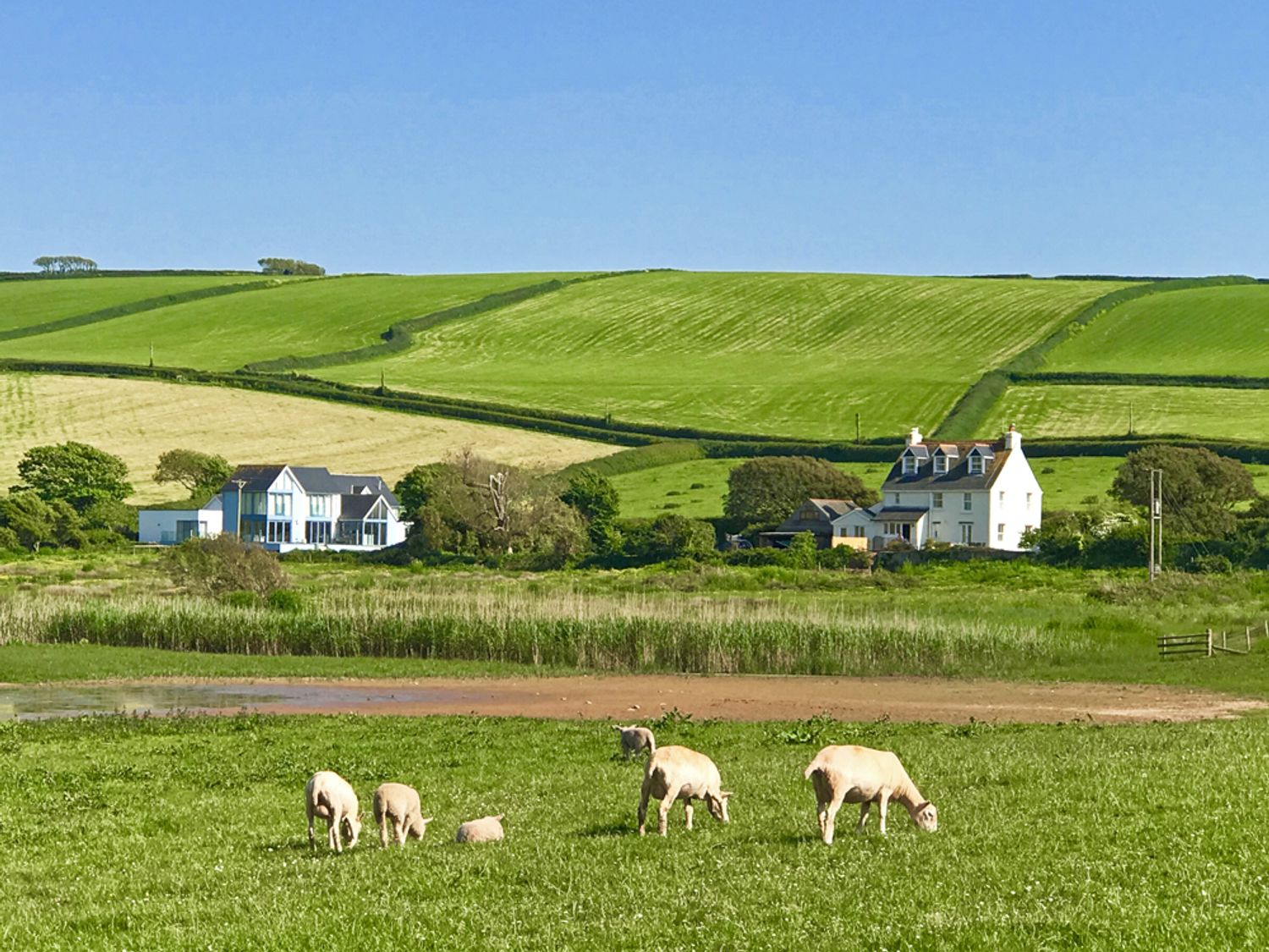 Thornbrook, Devon