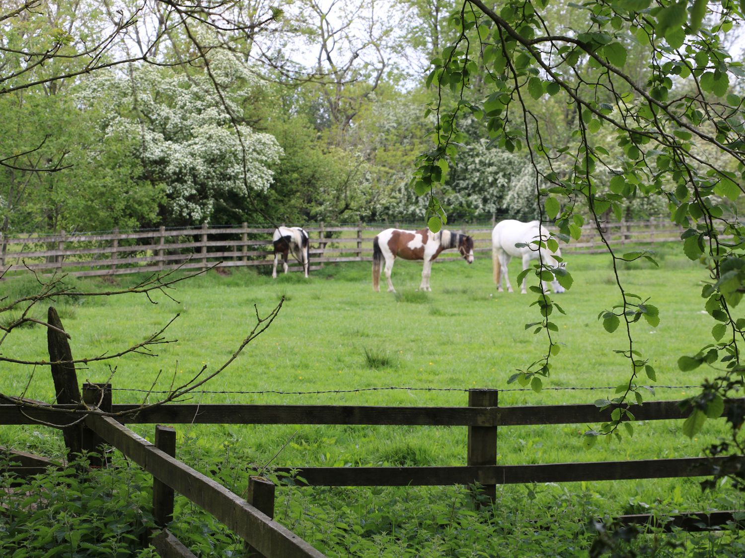 Lower Flass Farm, Clitheroe