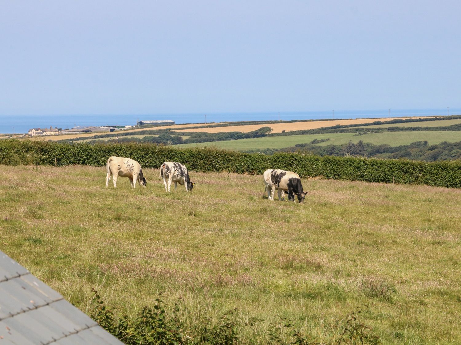 Sea Yonder, Hartland