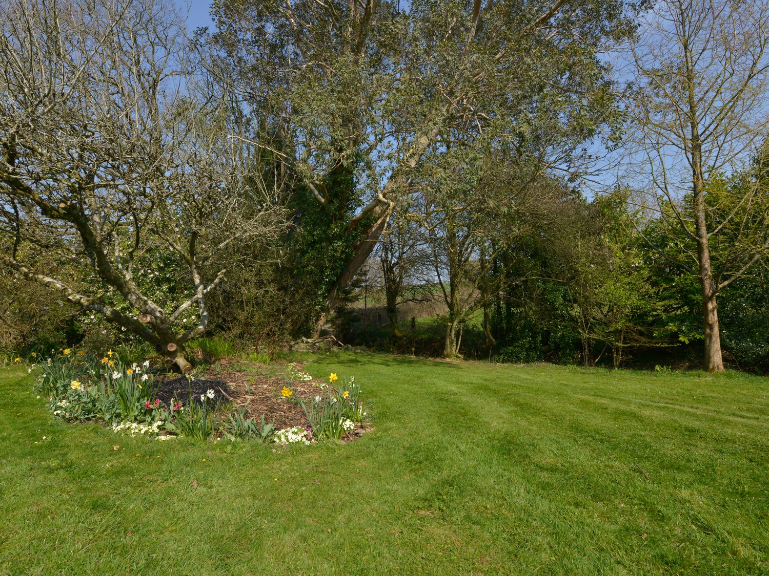 Hook Cottage, Cornwall