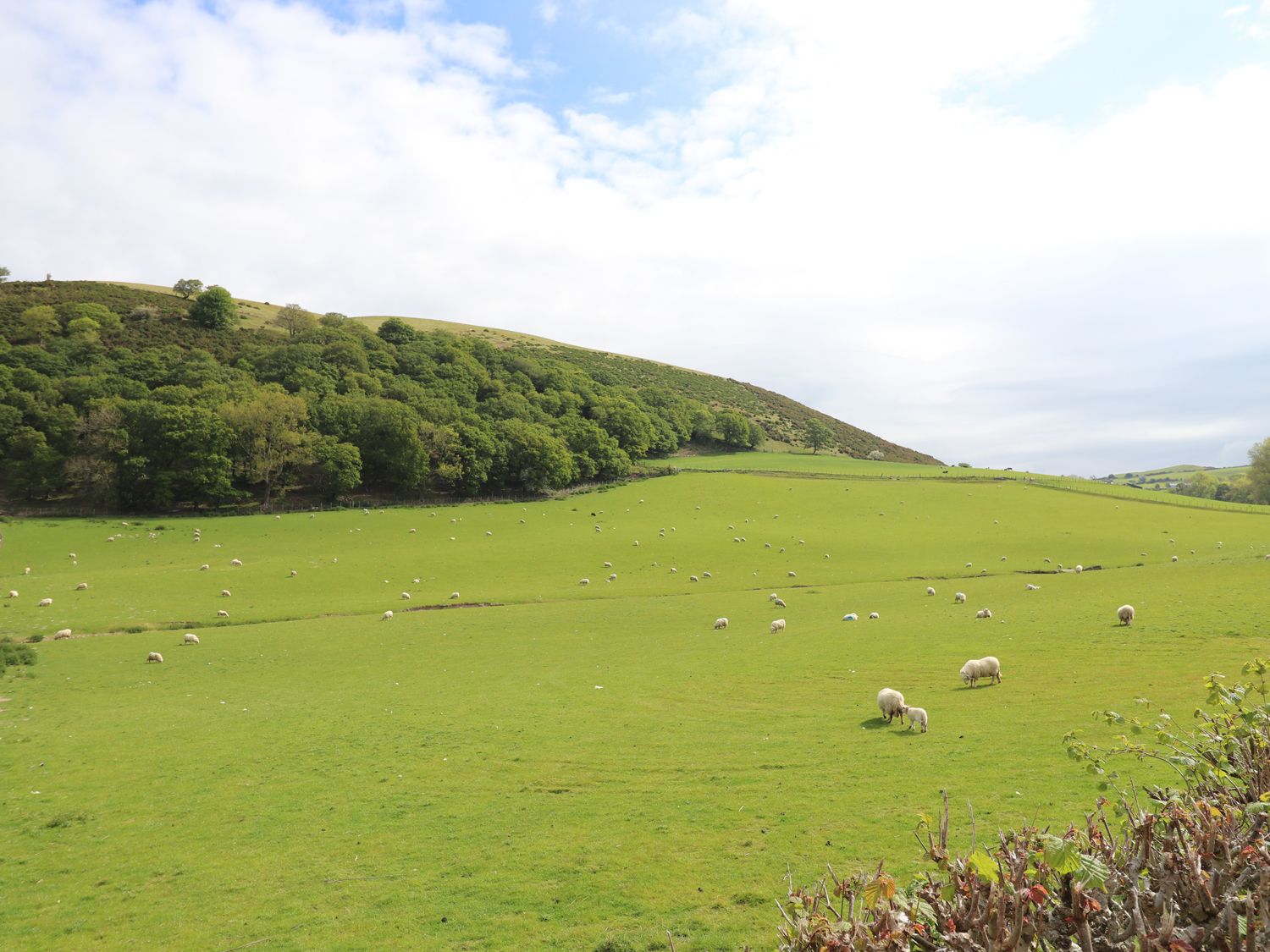 10 Ty Coch Street, Henllan