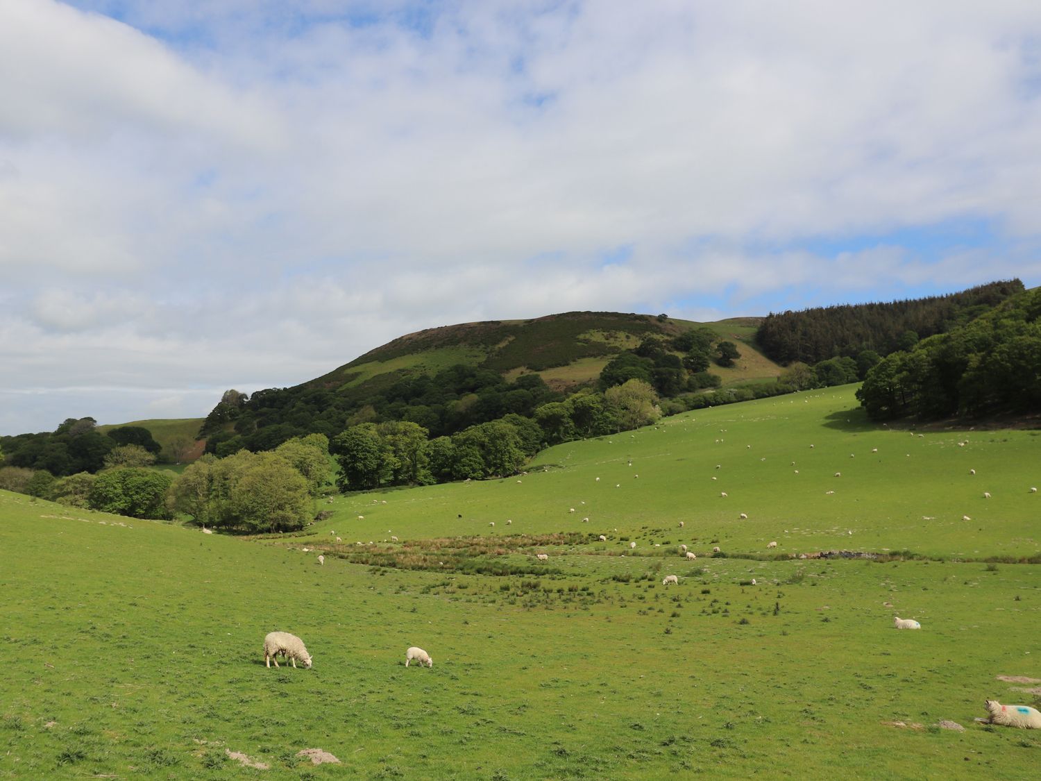 10 Ty Coch Street, Henllan